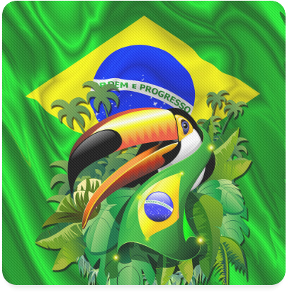 Brazilian Toucanwith Flag PNG