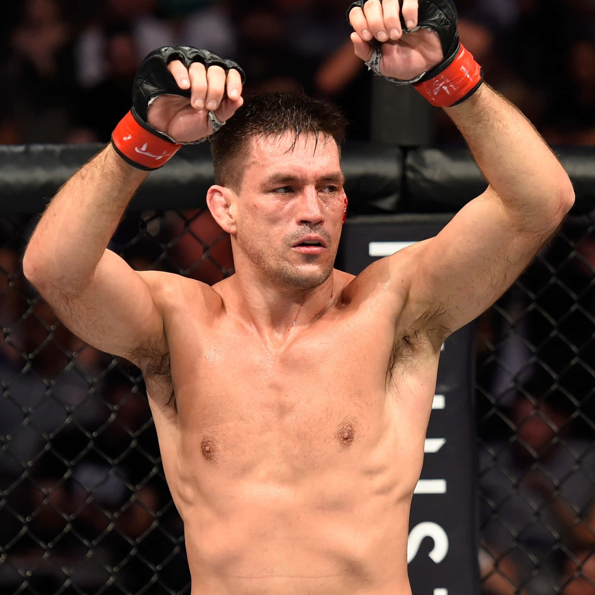 Brazilian Ufc Fighters Demian Maia Background