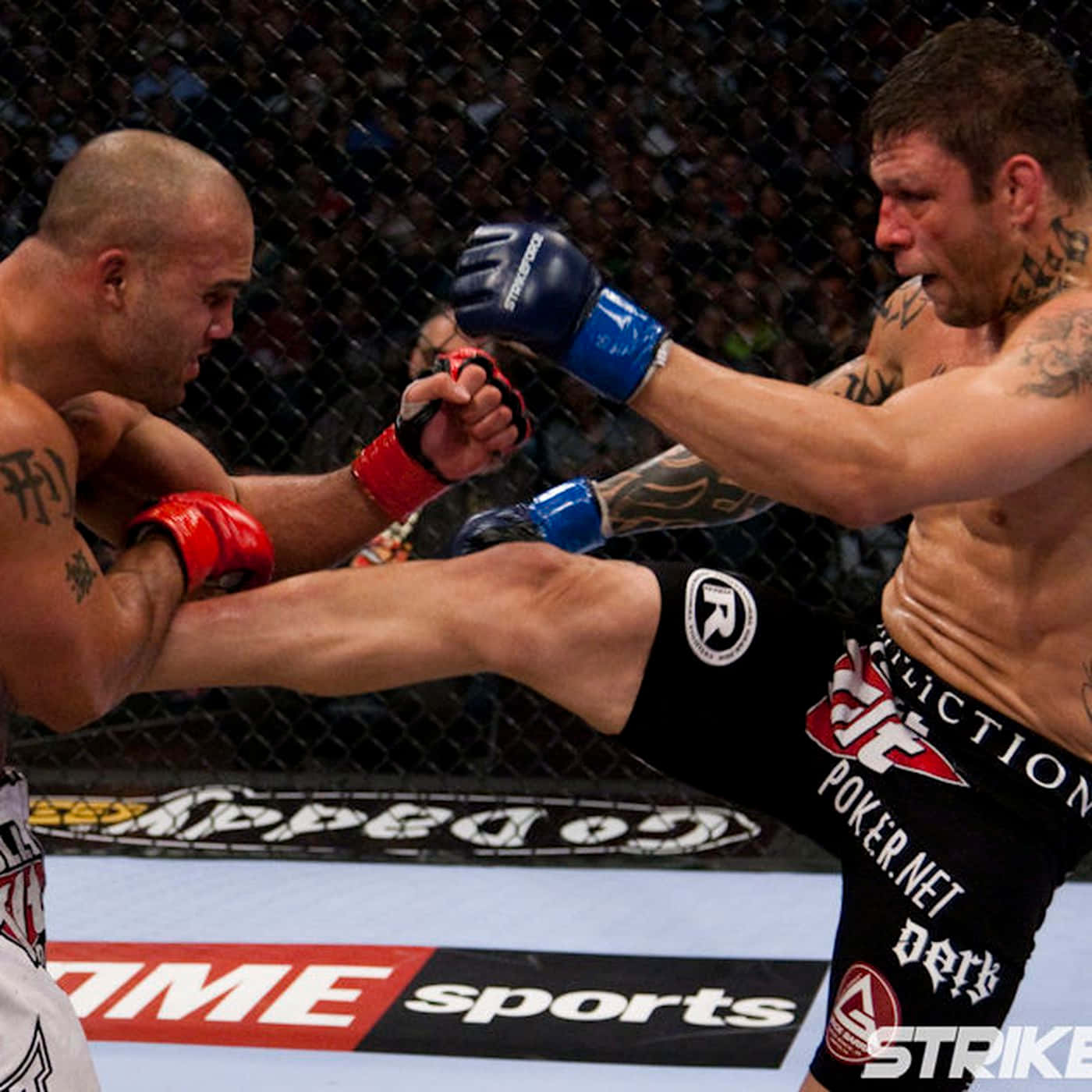 Brasiliansk UFC-spiller Renato Sobral og Dan Henderson Strikeforce-begivenhed Tapet Wallpaper
