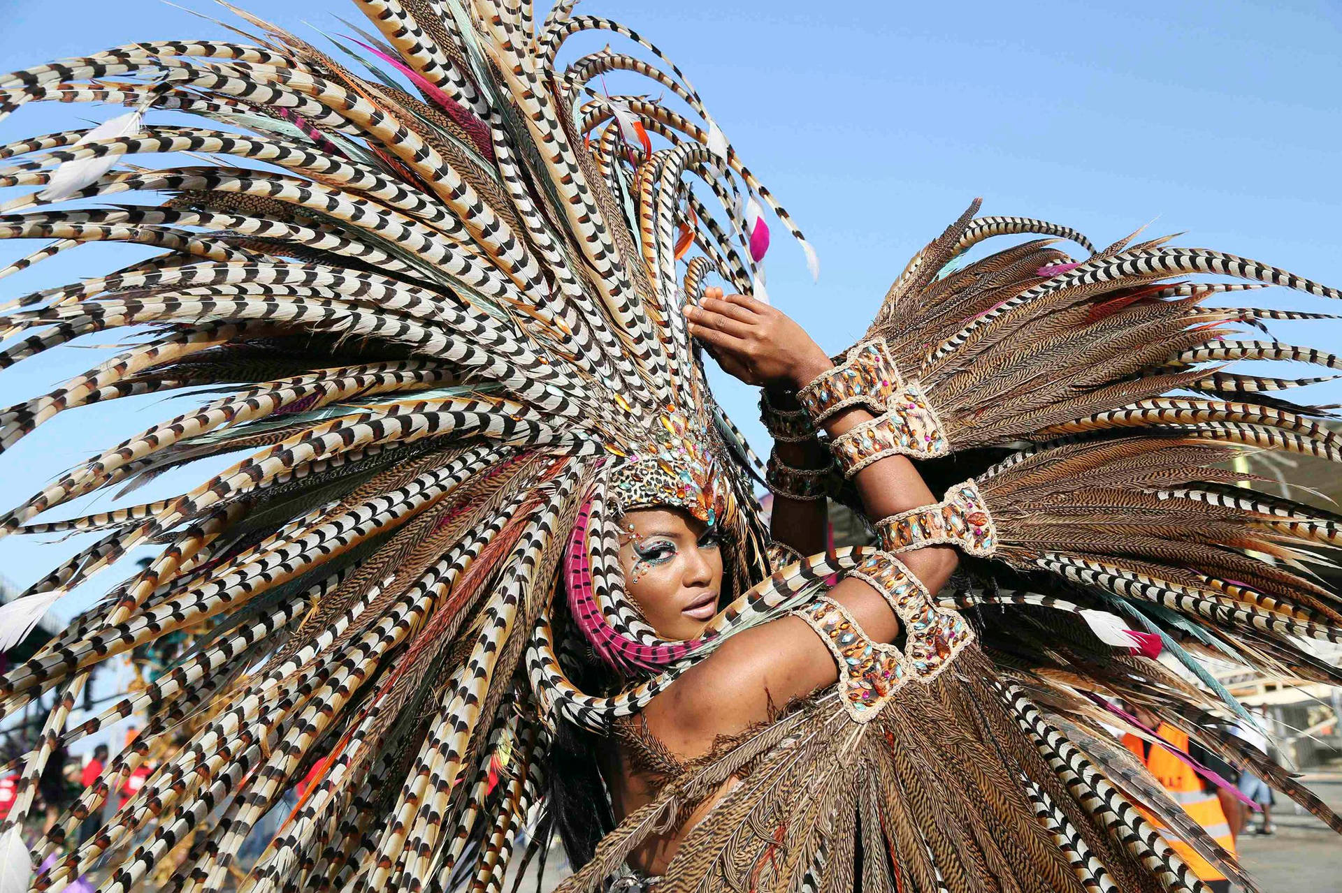 Mujerbrasileña En El Carnaval Fondo de pantalla