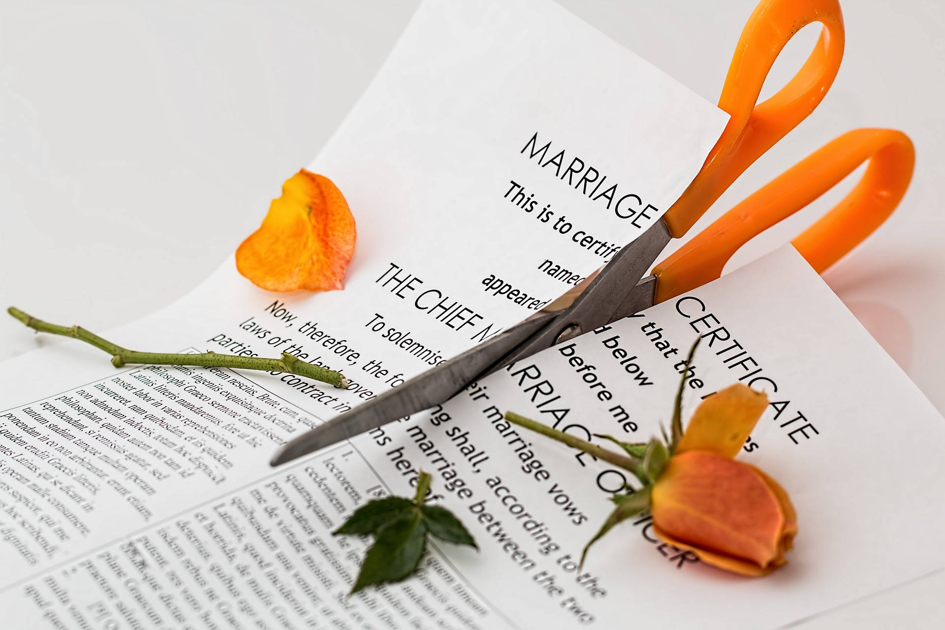 Break Up Marriage Certificate Wallpaper