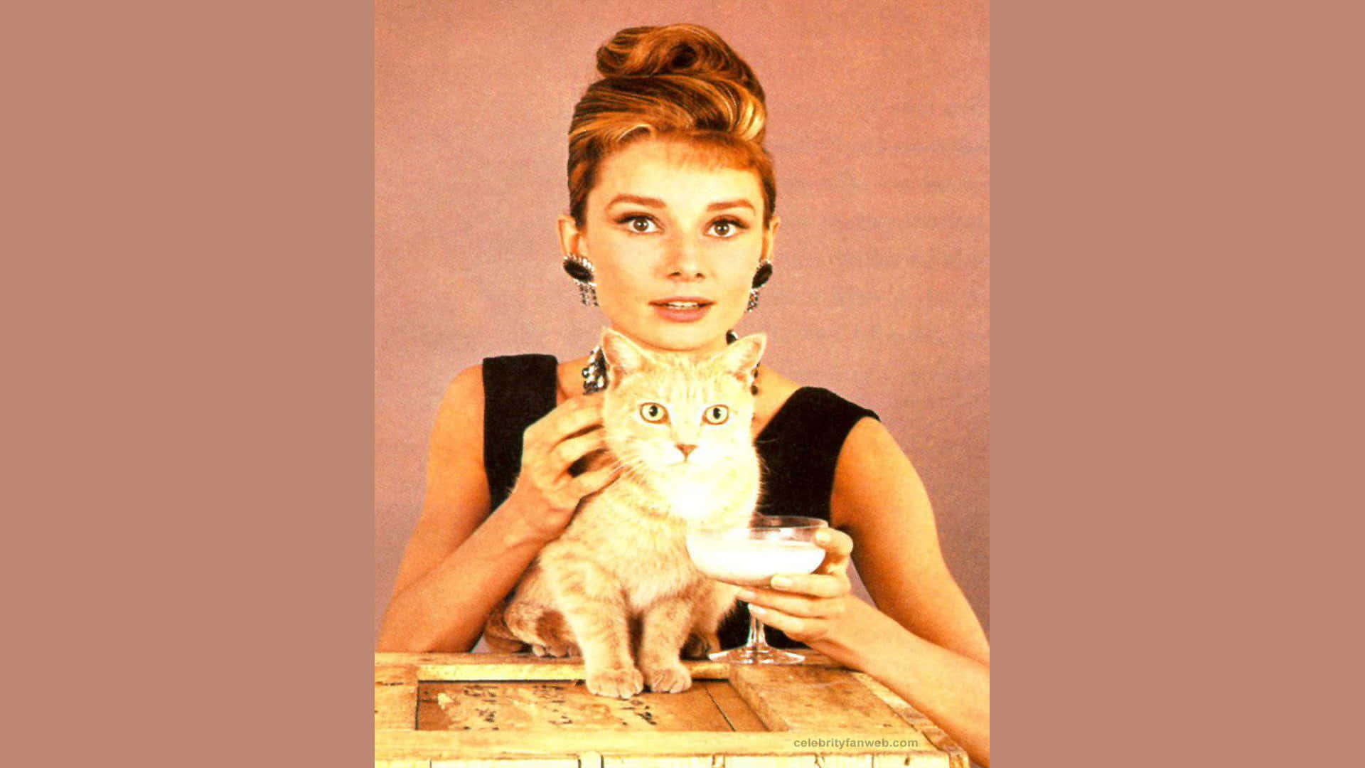 Caféda Manhã Na Tiffany, Retrato De Audrey Hepburn Com Um Gato. Papel de Parede
