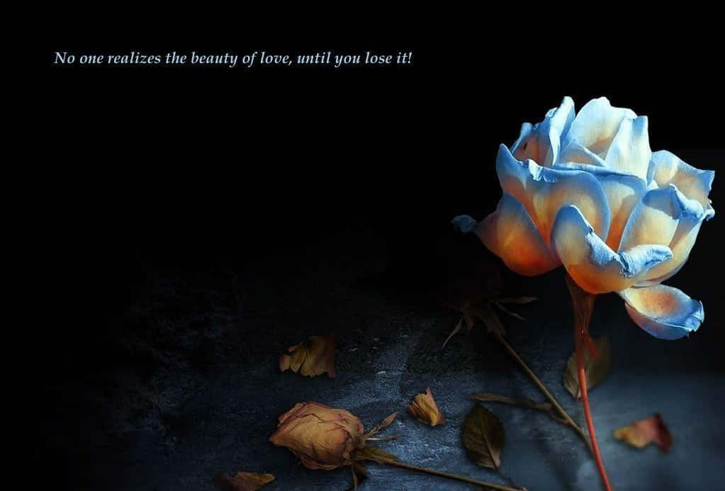 Wilted Flower Quote Breakup Picture