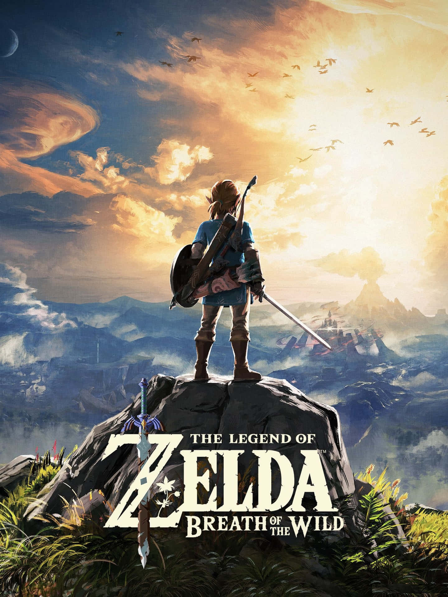 Link facing the vast landscapes of Hyrule in The Legend of Zelda: Breath of the Wild