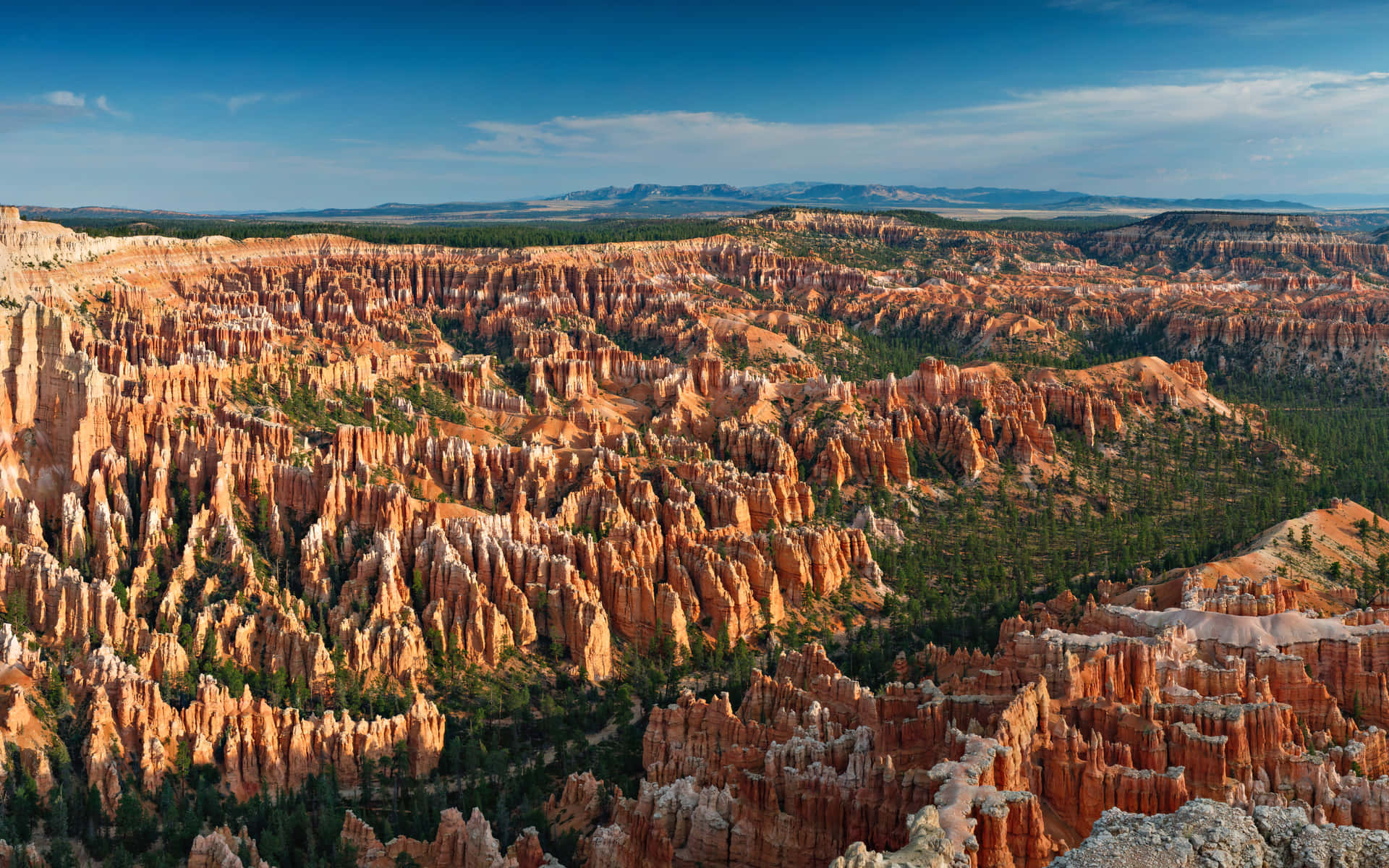 Breath-taking 4k View Of A Majestic Canyon Wallpaper