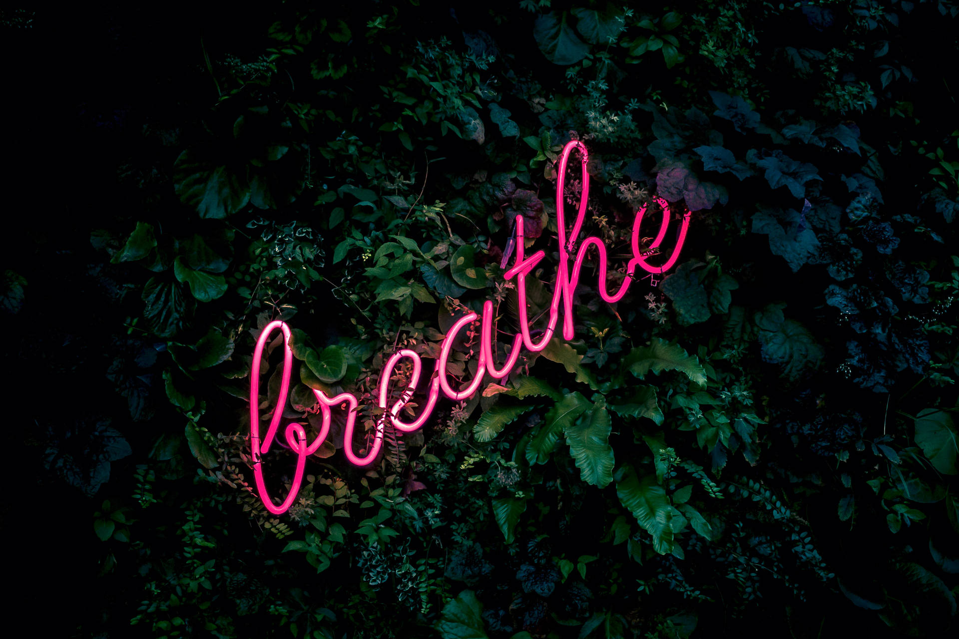 Breathe Signage Dark Green Aesthetic Background