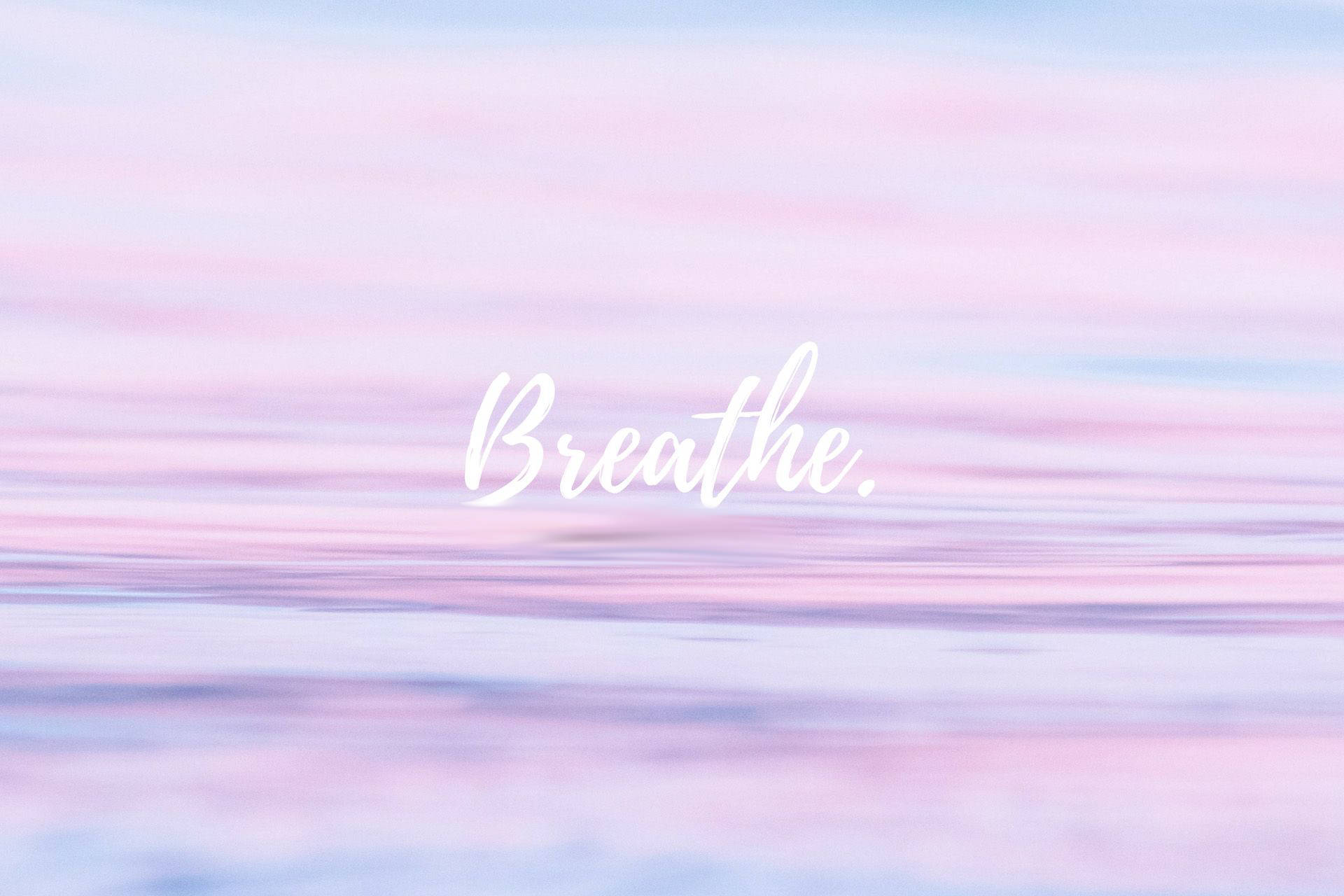 Breathing Text Pastel Pink Wallpaper