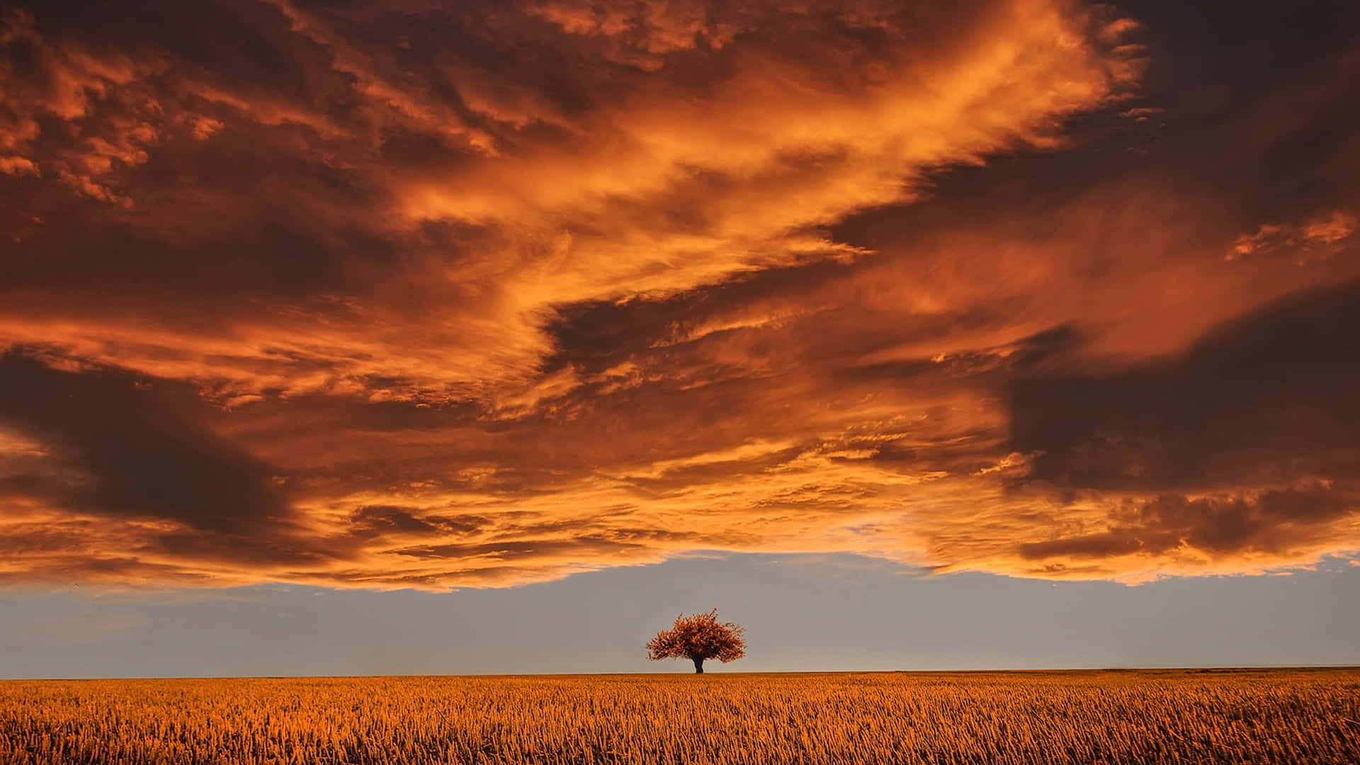 Tranquil Sunrise at the Lakeside Wallpaper