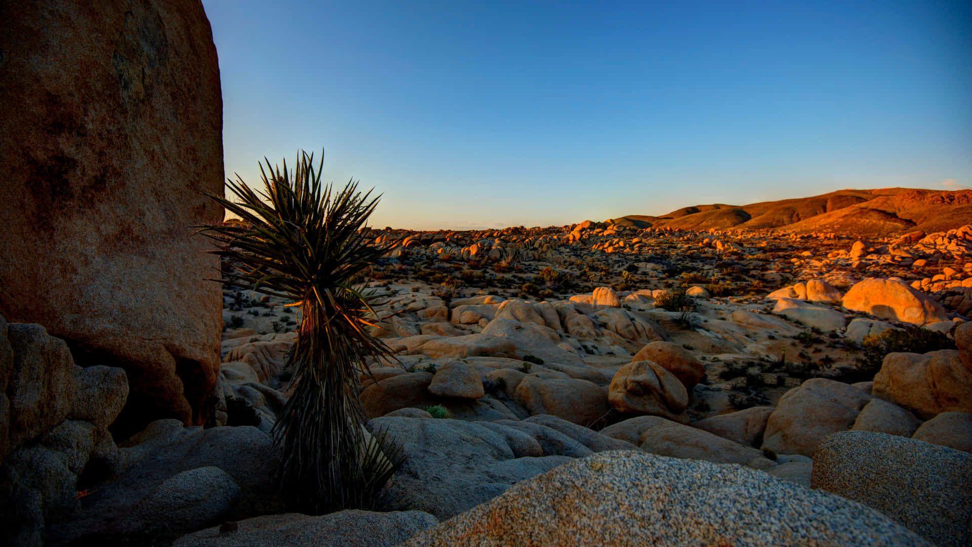 Breathtaking 4k Desert Landscape Wallpaper