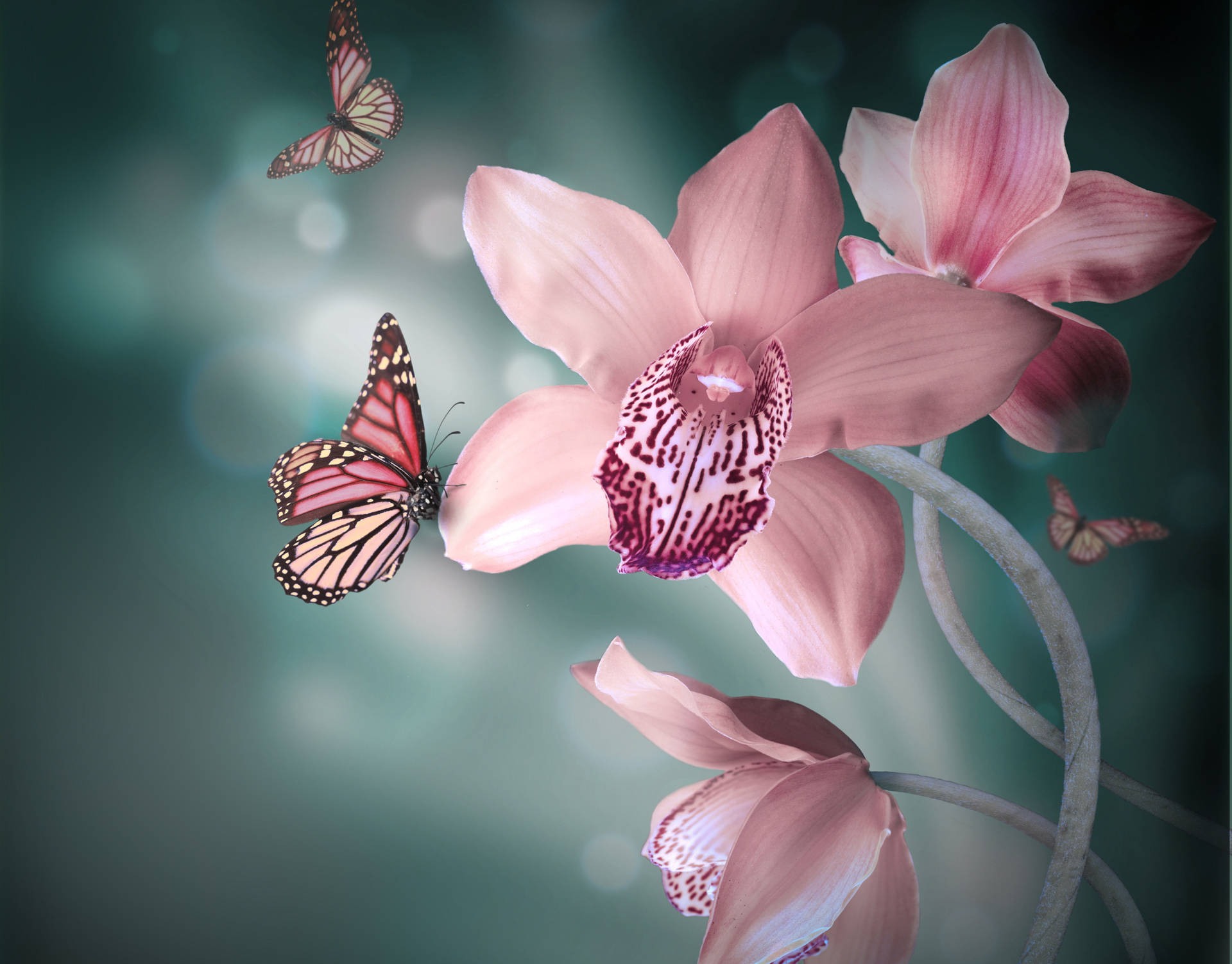 Breathtaking Close-up Of A Cute Pink Butterfly Wallpaper