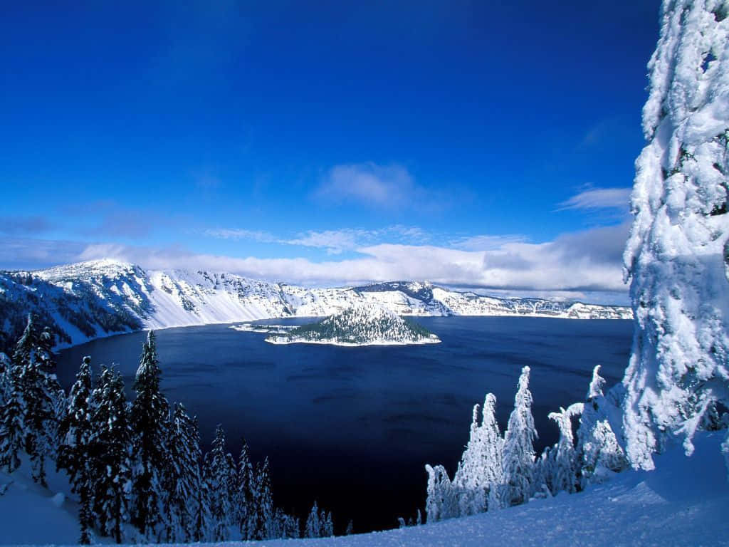 Breathtaking Frozen Lake Surrounded By Snowy Trees Wallpaper