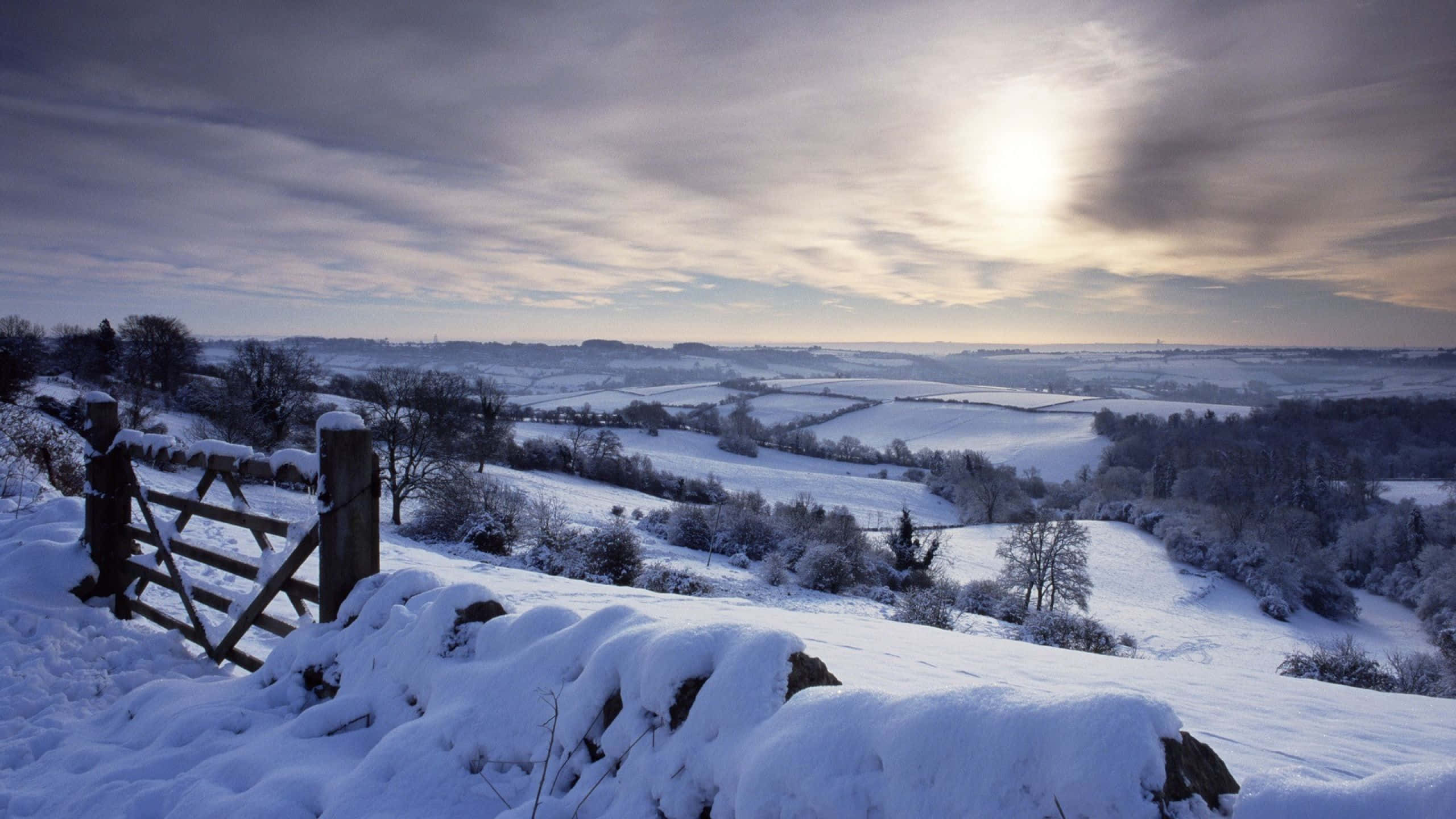 Breathtaking View Of [main Object/subject] In St. Albans, United Kingdom Wallpaper