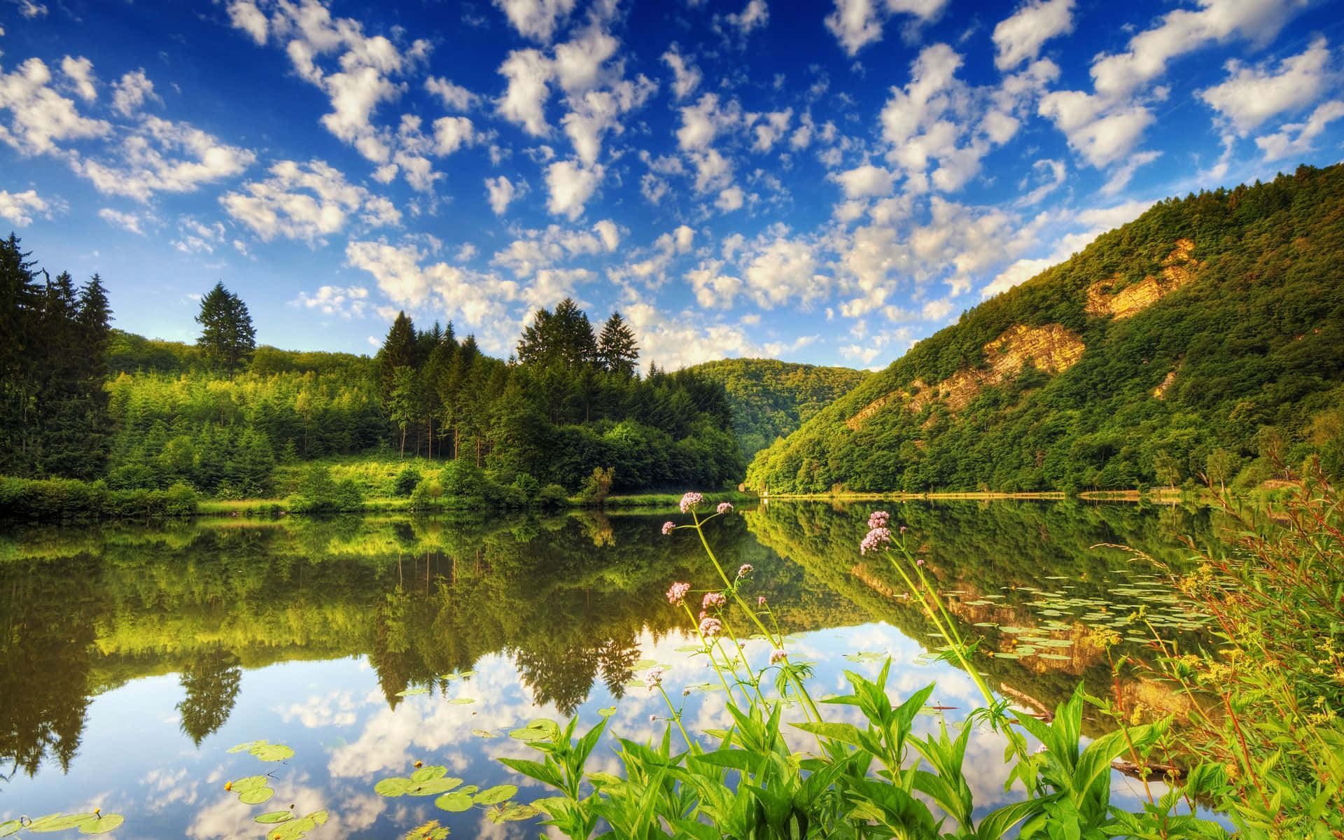 Breathtaking Wilderness: The Beauty Of Nature Reserve Wallpaper