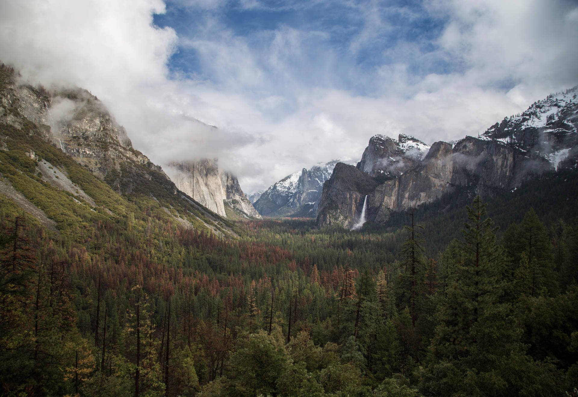 Breathtaking Yosemite Park In Fresno Wallpaper