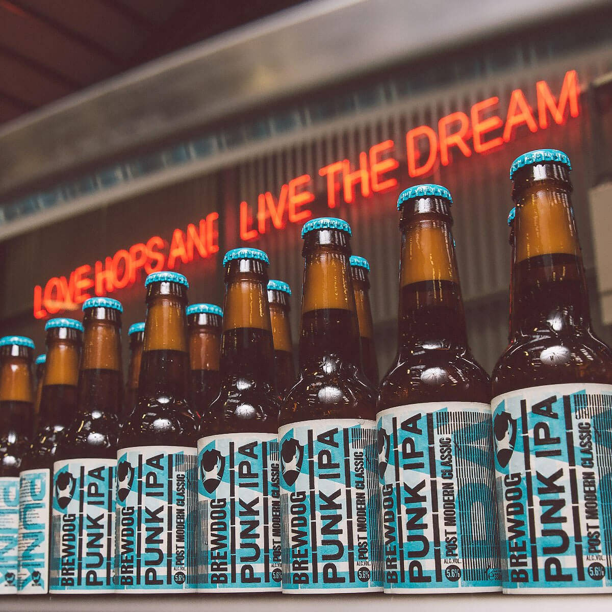 Brewdog Love Hopes And Live The Dream Wallpaper
