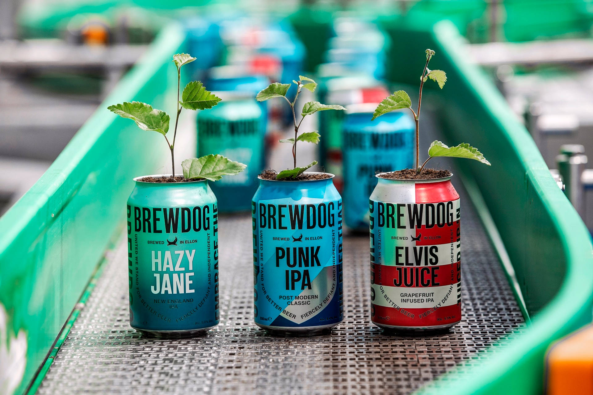 Brewdog Recycled Cans Picture