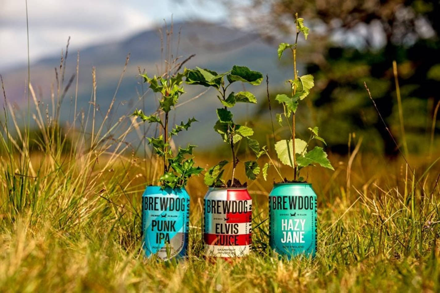 Brewdog Recycled Cans Plants Growing Wallpaper