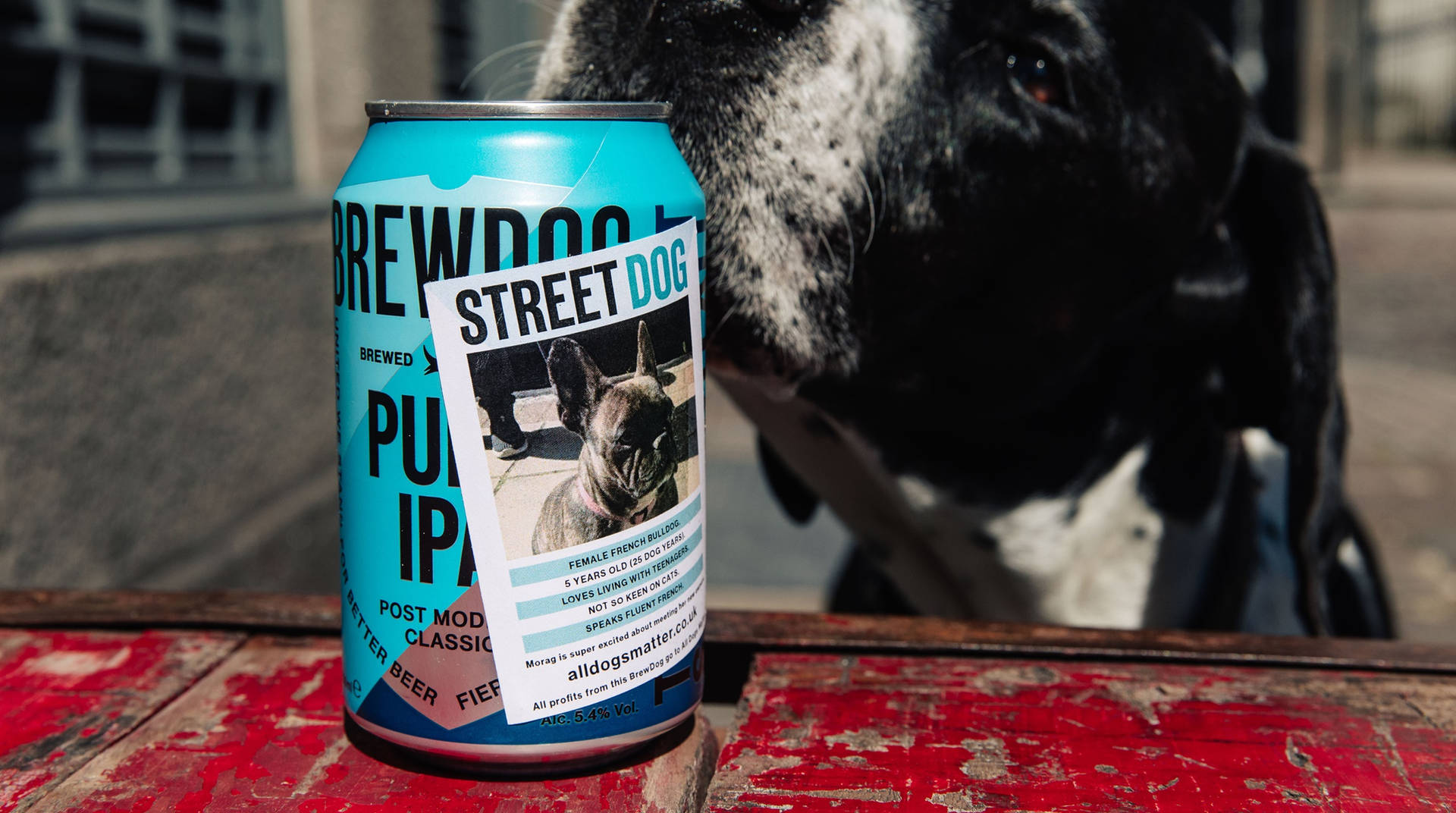 Brewdog Street Dog Sticker Picture
