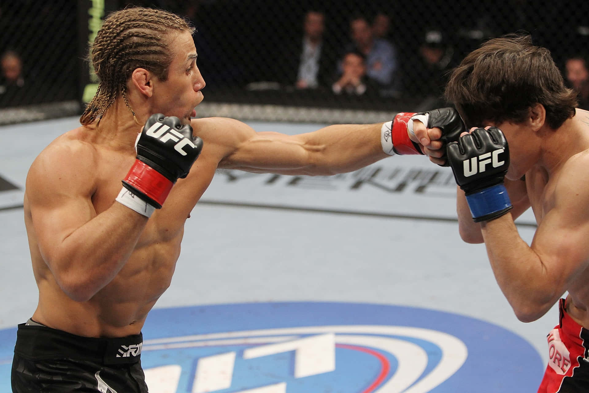 Brian Bowles faces off against Urijah Faber in intense battle Wallpaper