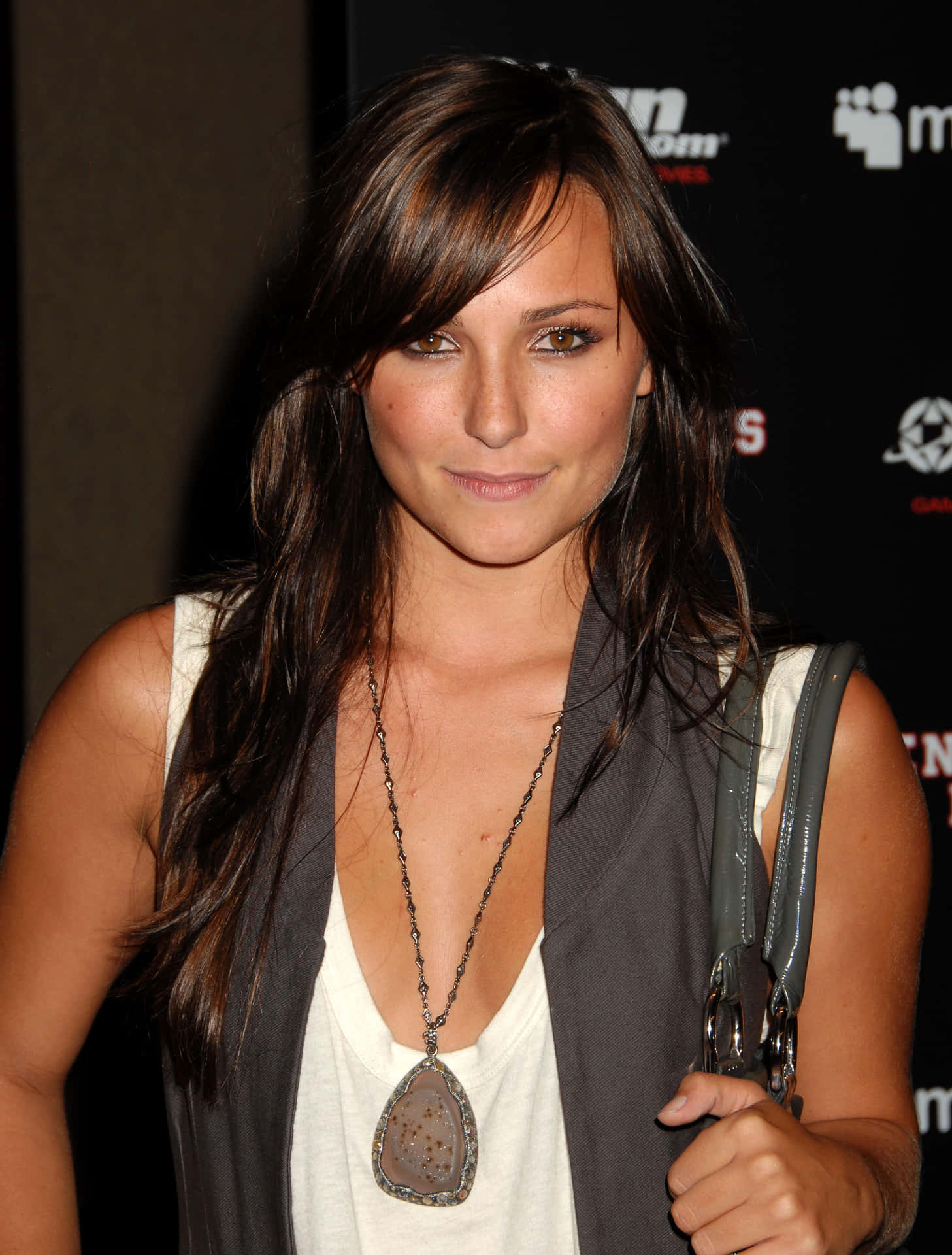 Briana Evigan Bikini