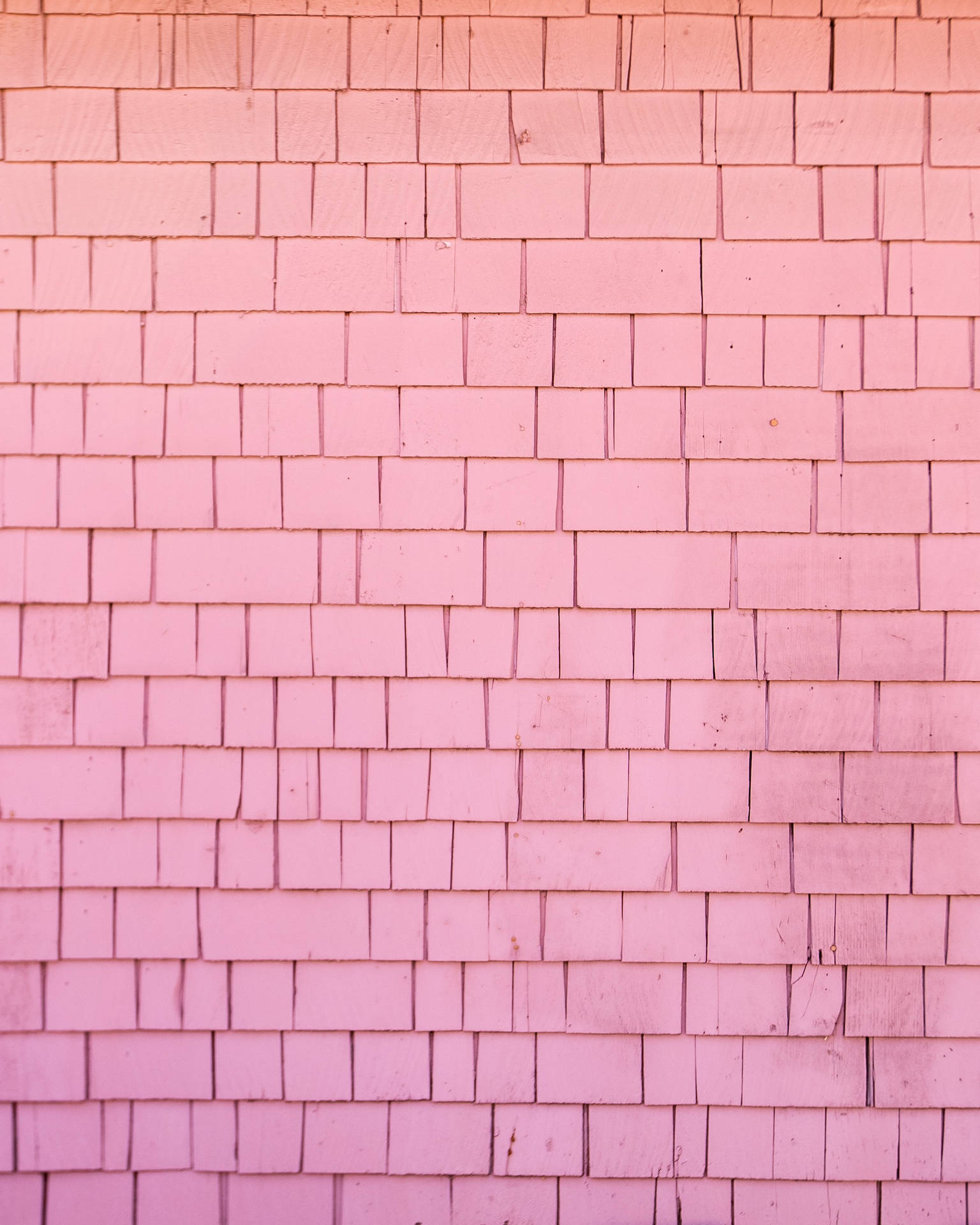 Brick Plain Pink Wallpaper