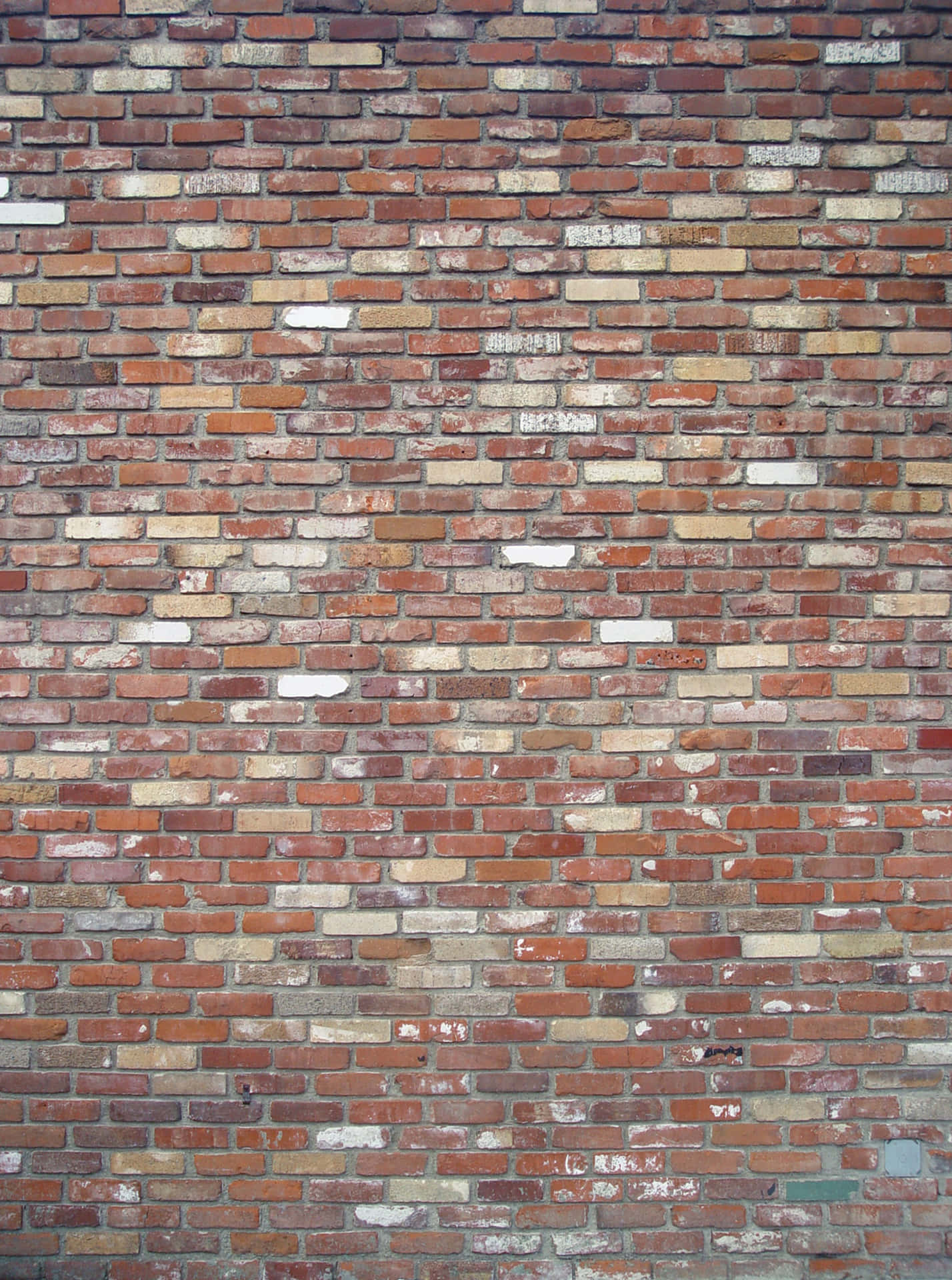 Brick Texture Pictures Vertical Wall