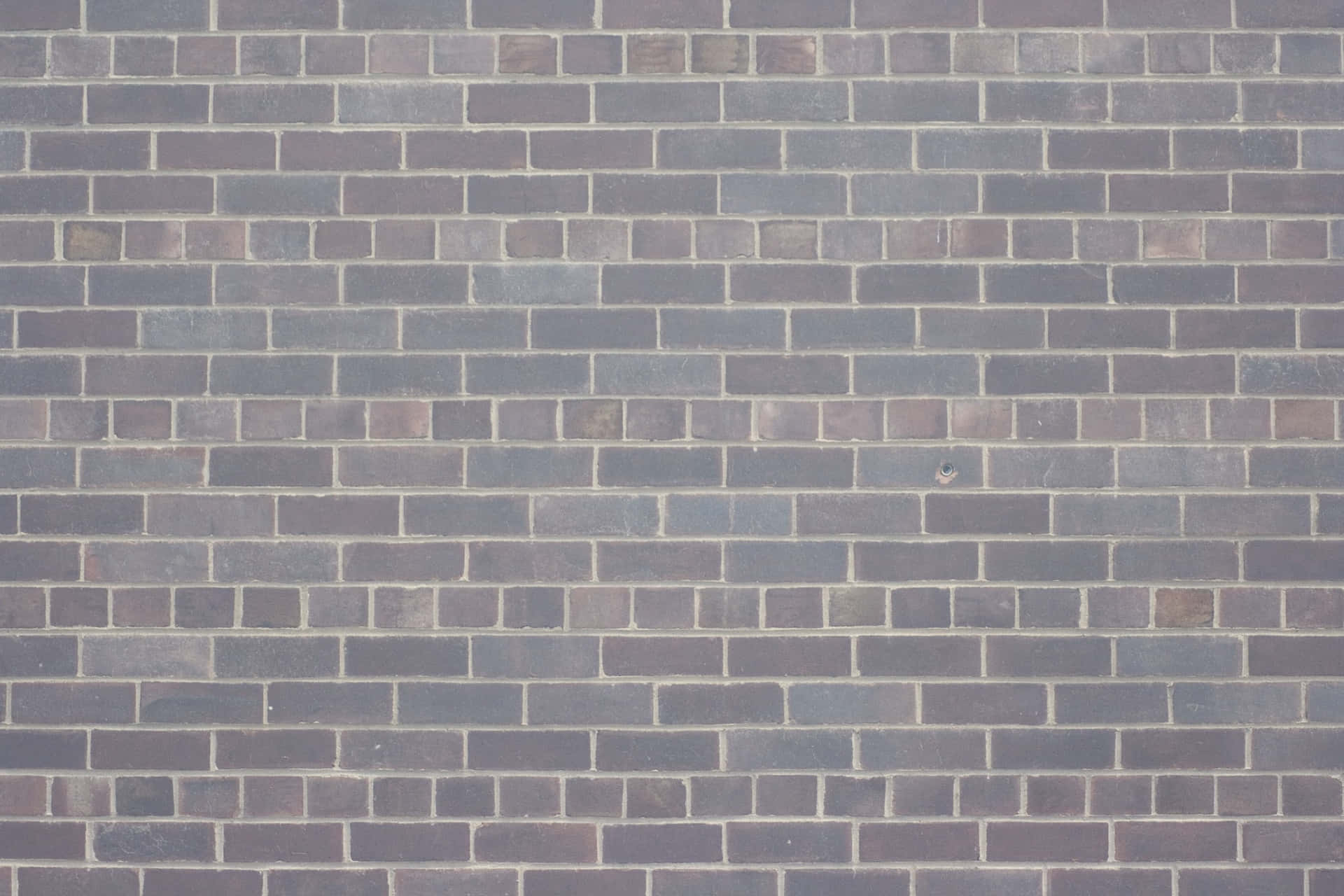 Brick Texture Pictures Gray