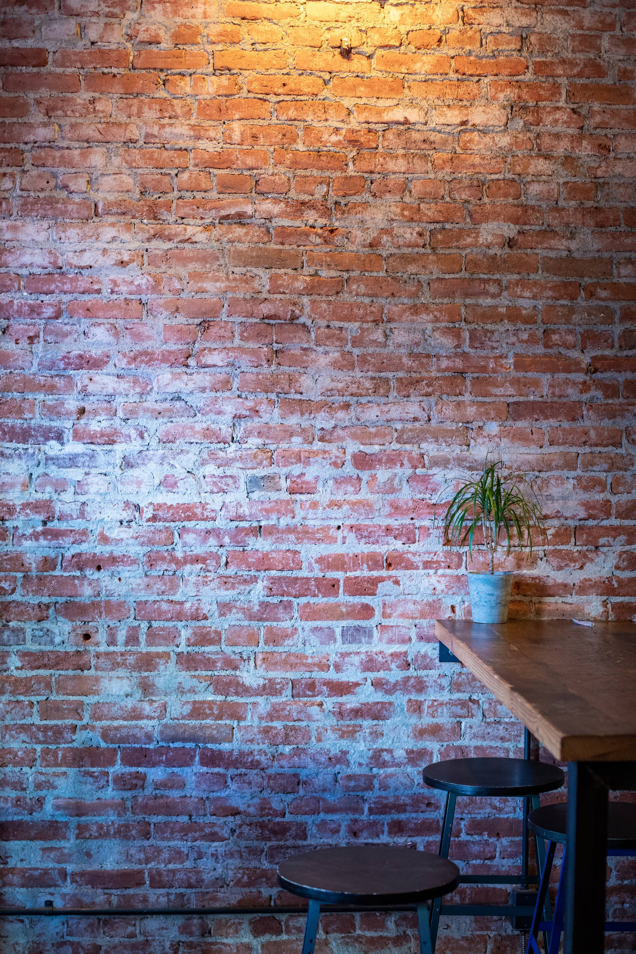 Brick Wall And Wooden Table Wallpaper
