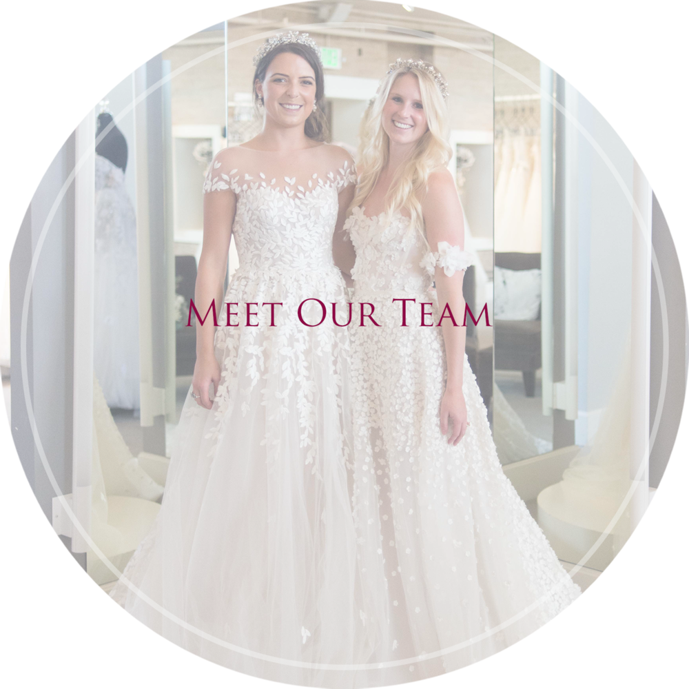 Bridal Teamin Elegant Gowns PNG