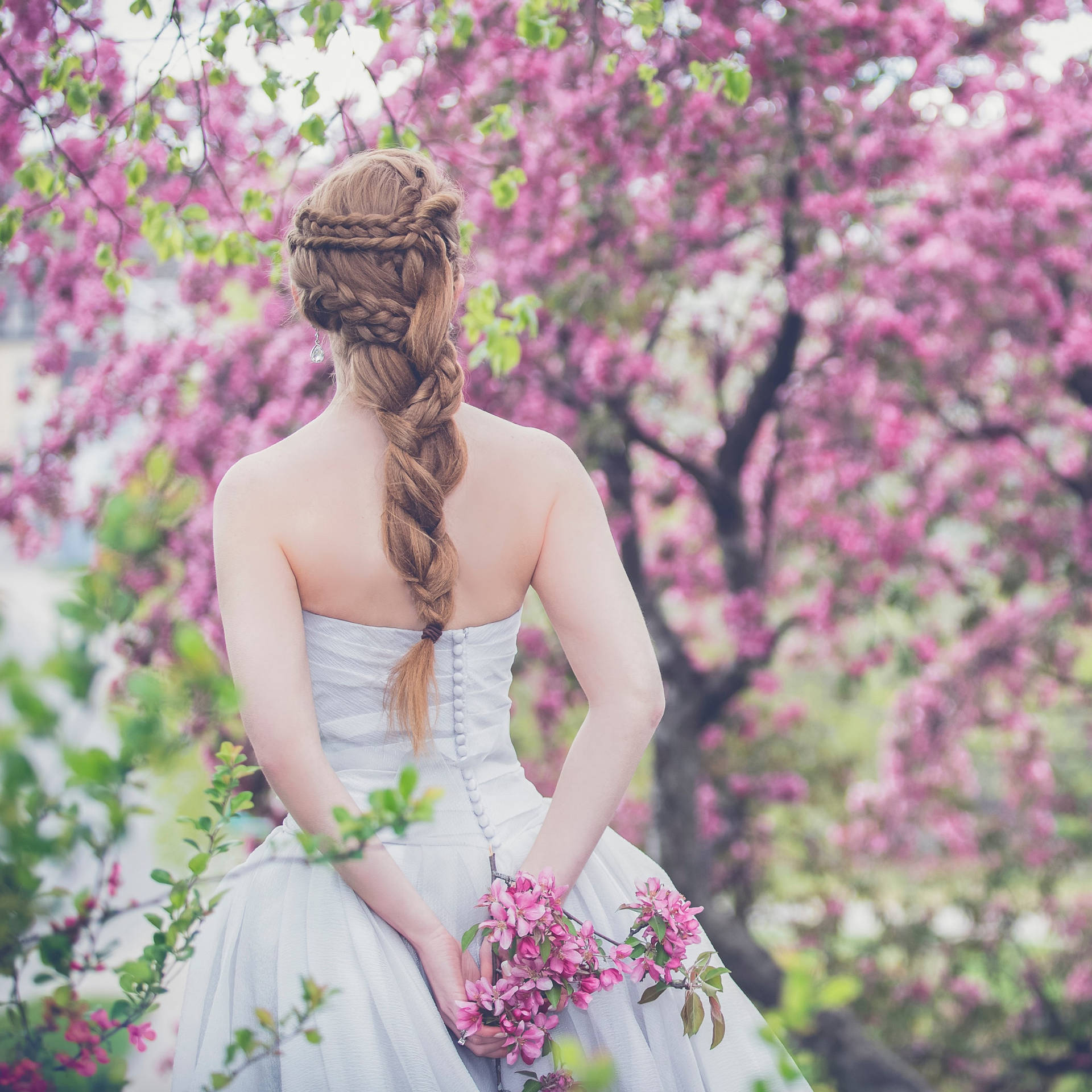 Bridal Walk Among Pink Flowers Wallpaper