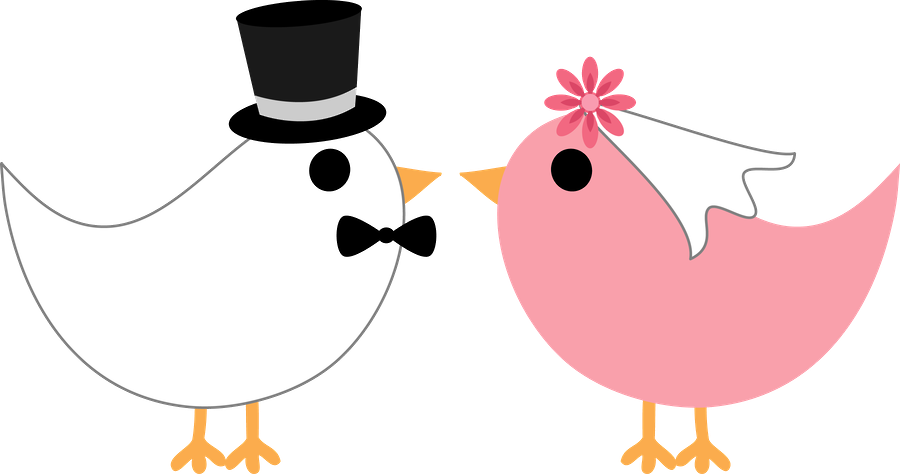 Brideand Groom Birds Illustration PNG