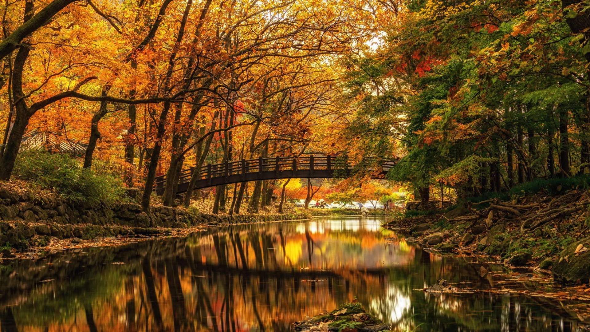 Bridge During Autumn MacBook Wallpaper