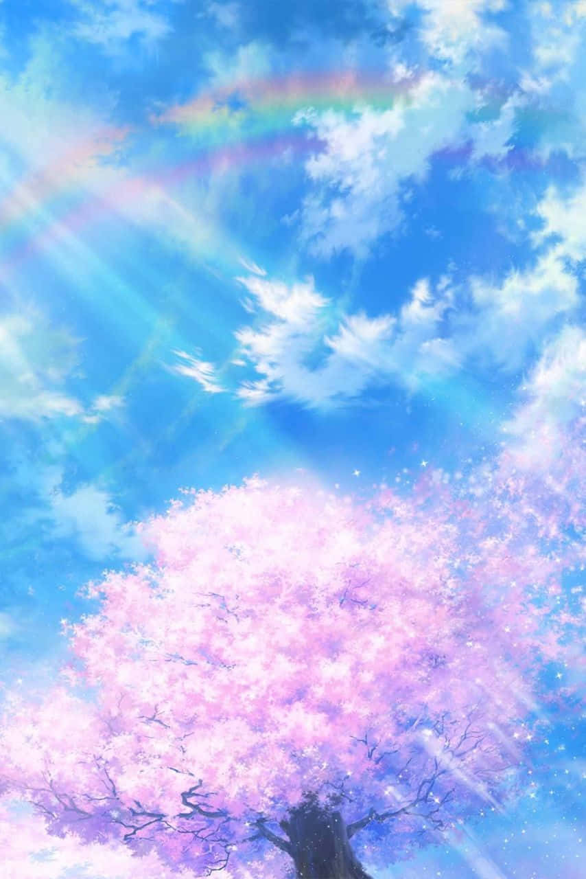 Lys Anime Blåskinnet Skinne Himlen Wallpaper