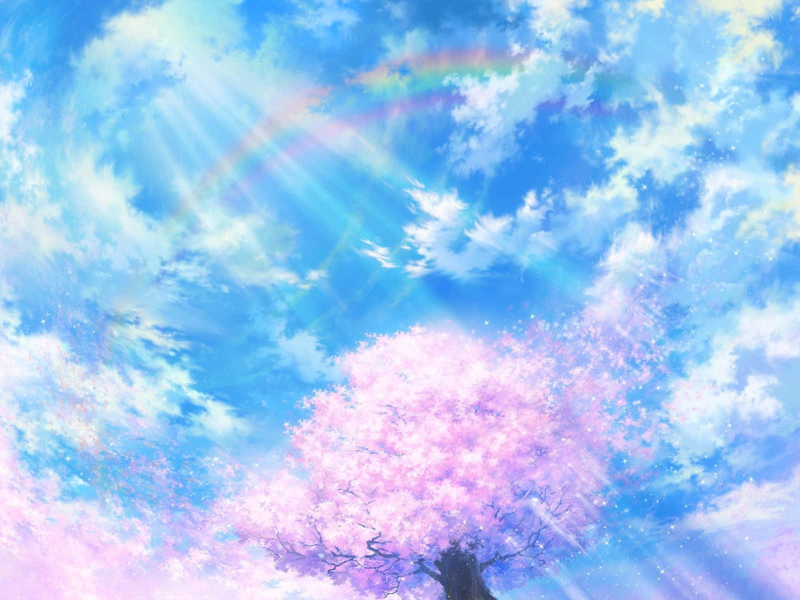 Bright Background Of Cherry Blossom In Anime Scenery Background
