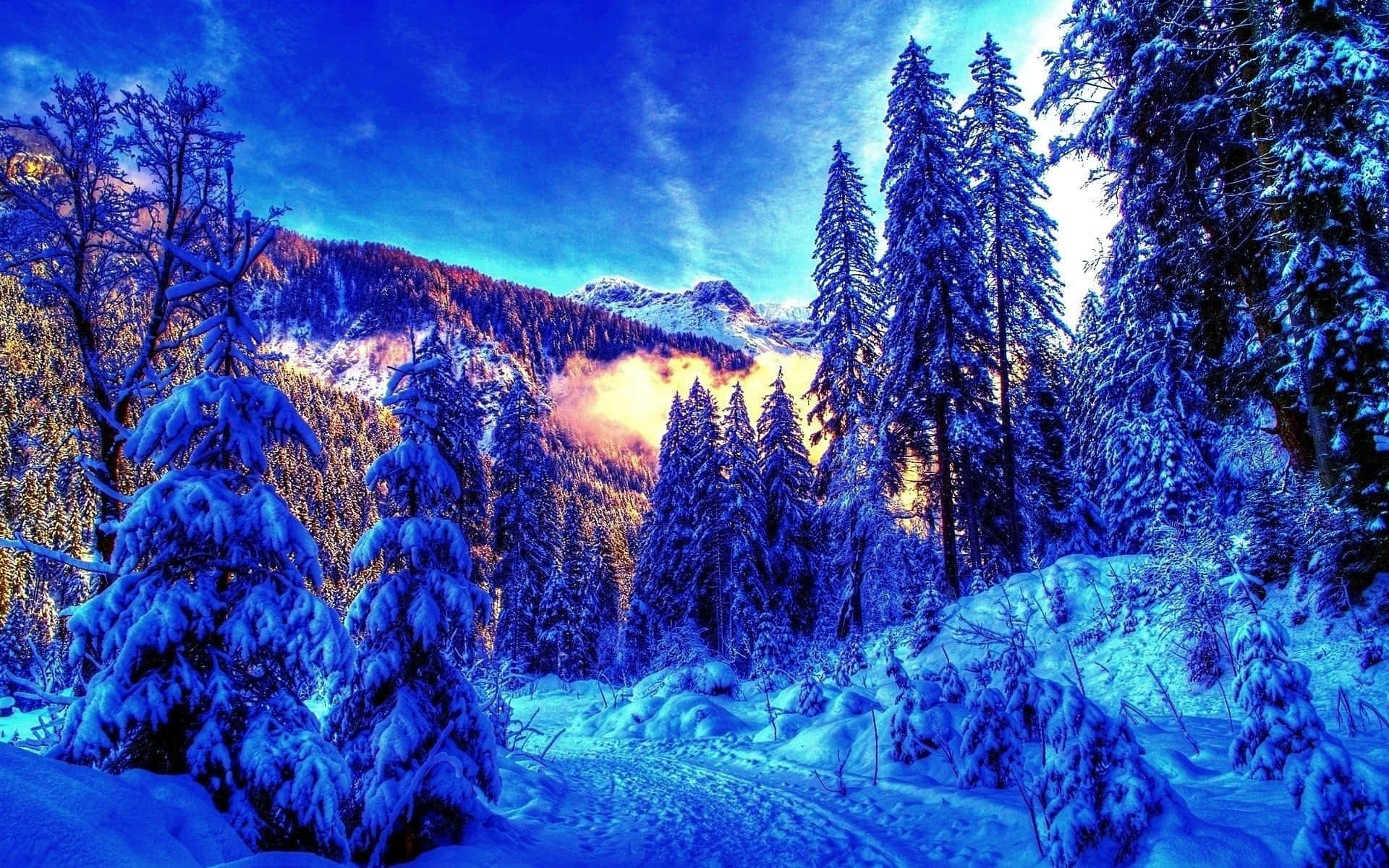 Sfondoluminoso Con Paesaggio Invernale Di Una Collina Nevosa