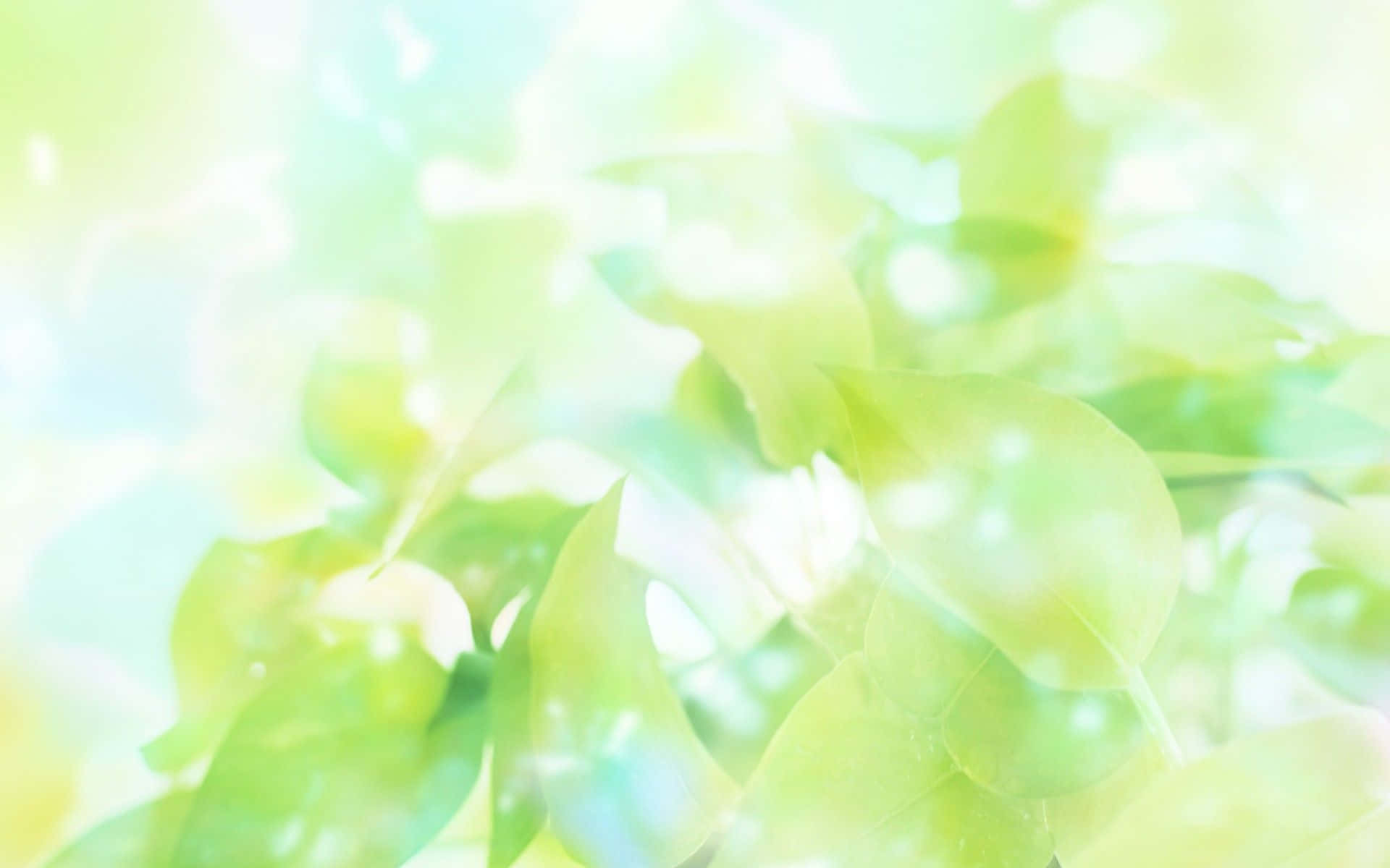 Bright Background Of Light  Green Leaves