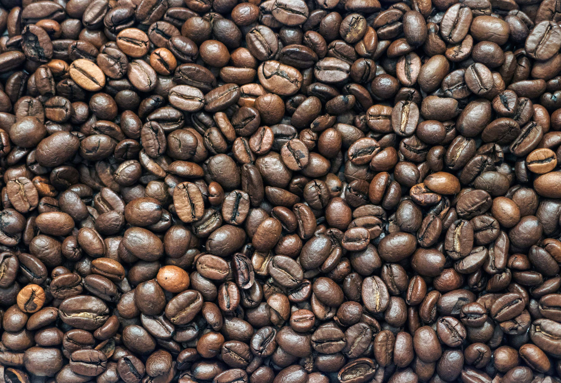 Bright Coffee Beans Background