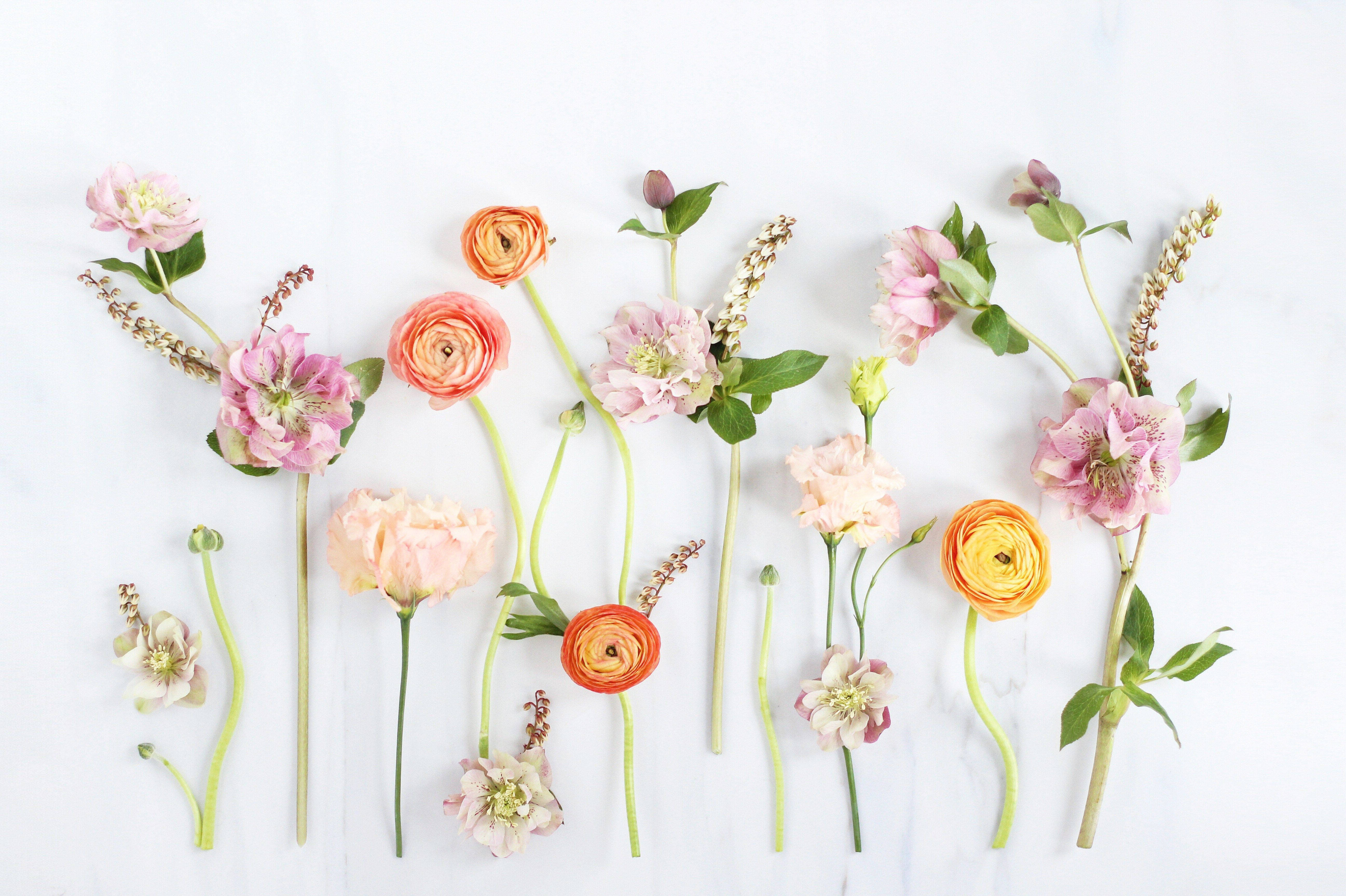 Lyse farvede blomster på floral skrivebord billede Wallpaper