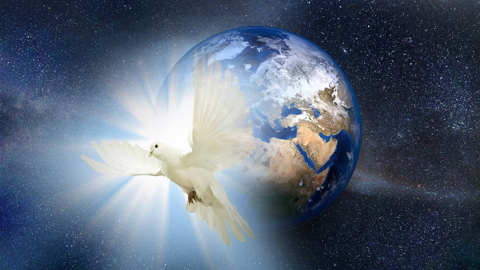 Bright Dove For World Peace Wallpaper