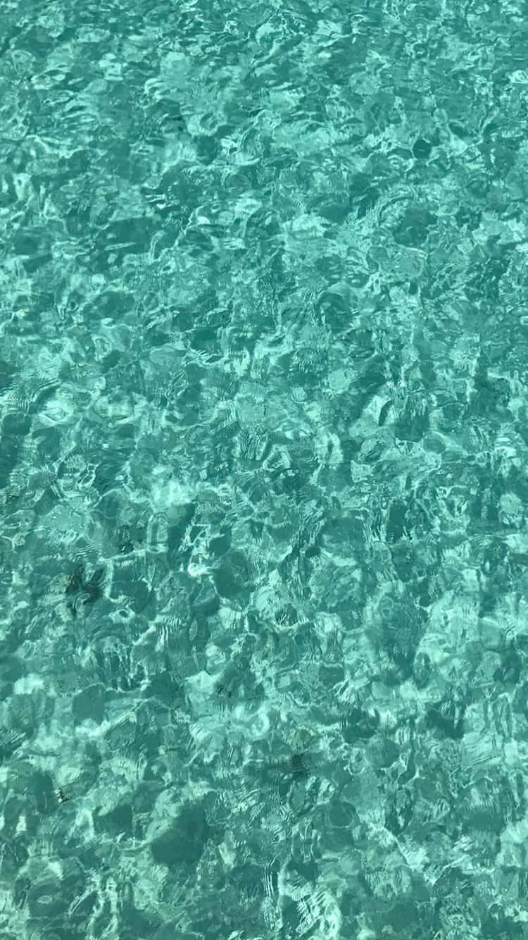 Bright Green Pool Water Wave Wallpaper