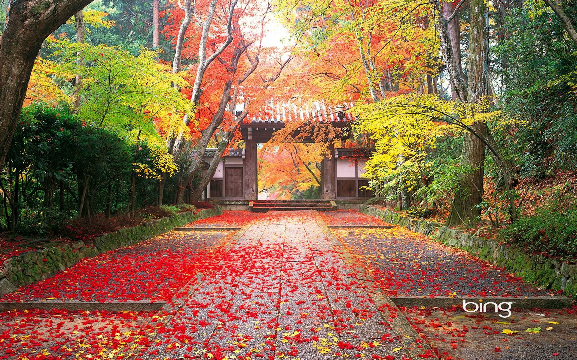Bright Japanese Nature Best Desktop Wallpaper