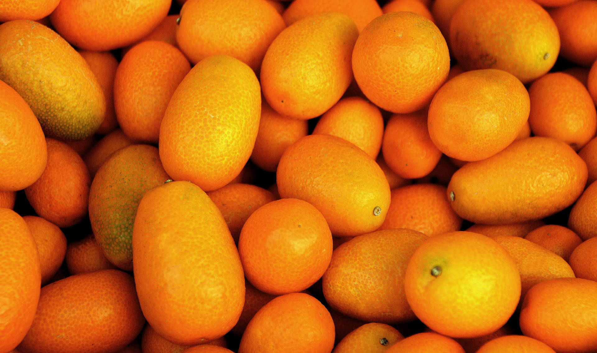 Bright Kumquat Fruits Close Up Still Shot Wallpaper