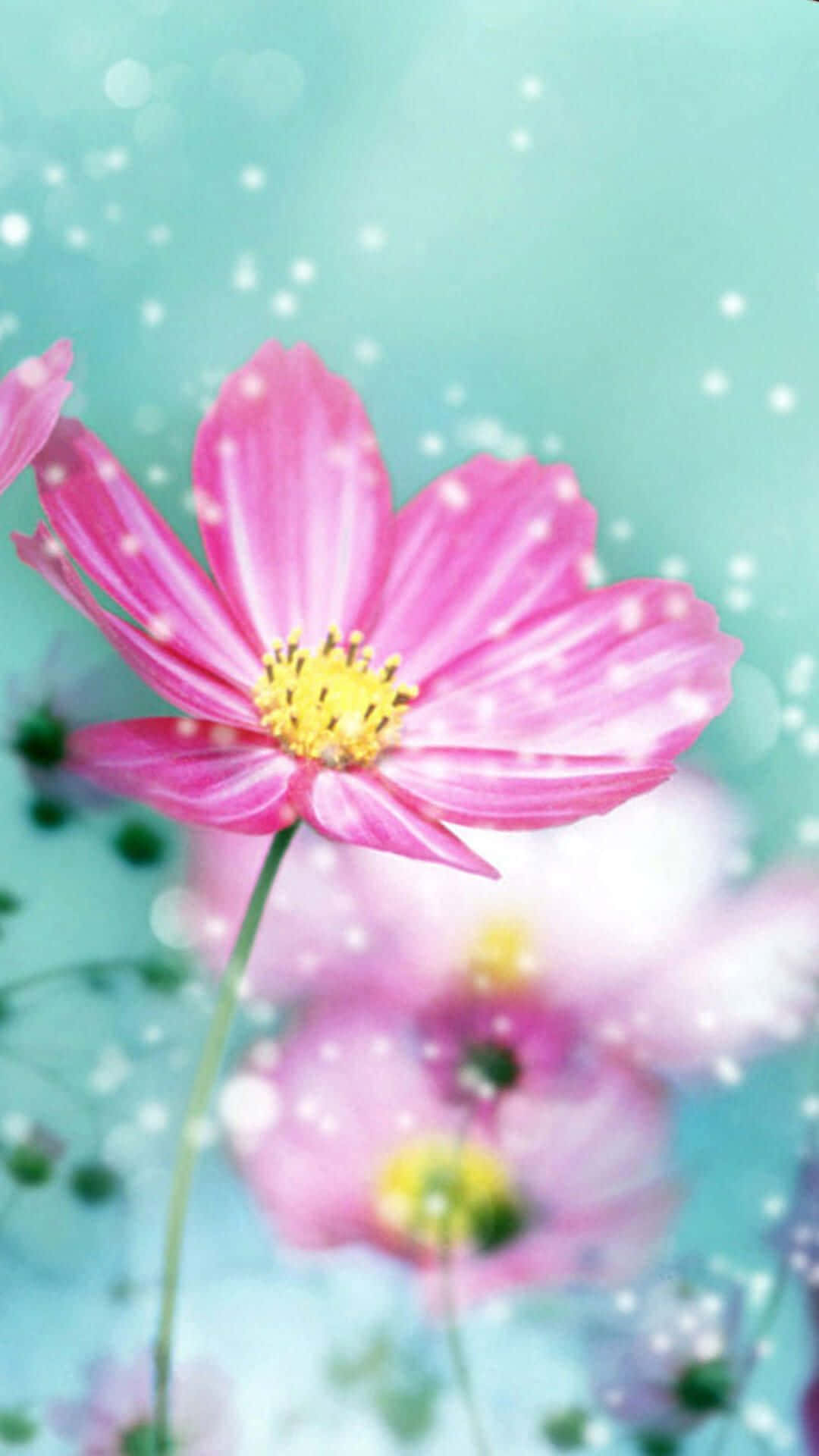 Bright Light Pink Spring Daisy iPhone Wallpaper