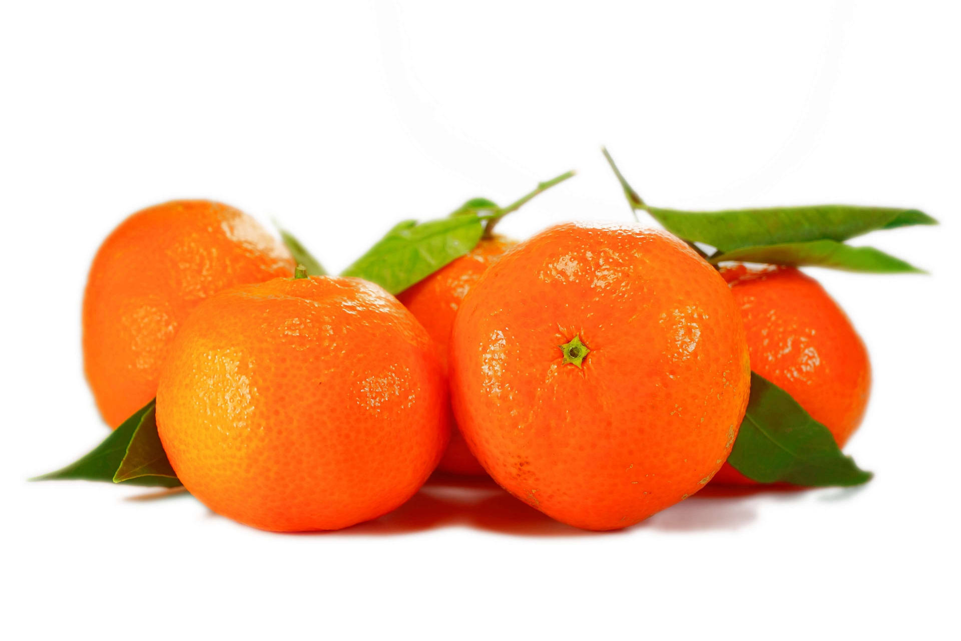 Ljusorange Clementin Citrus Frukt. Wallpaper
