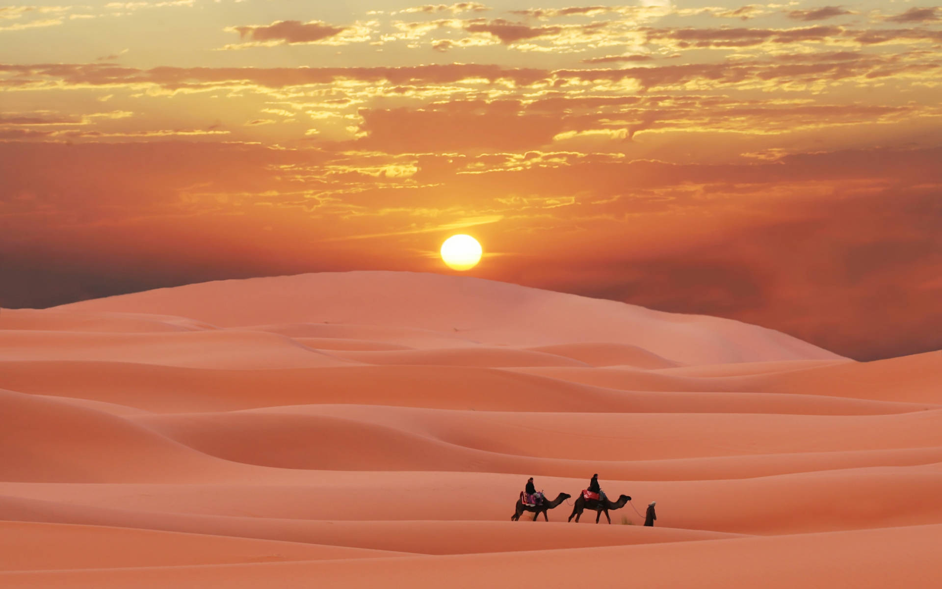 Bright Orange Desert Sun Wallpaper