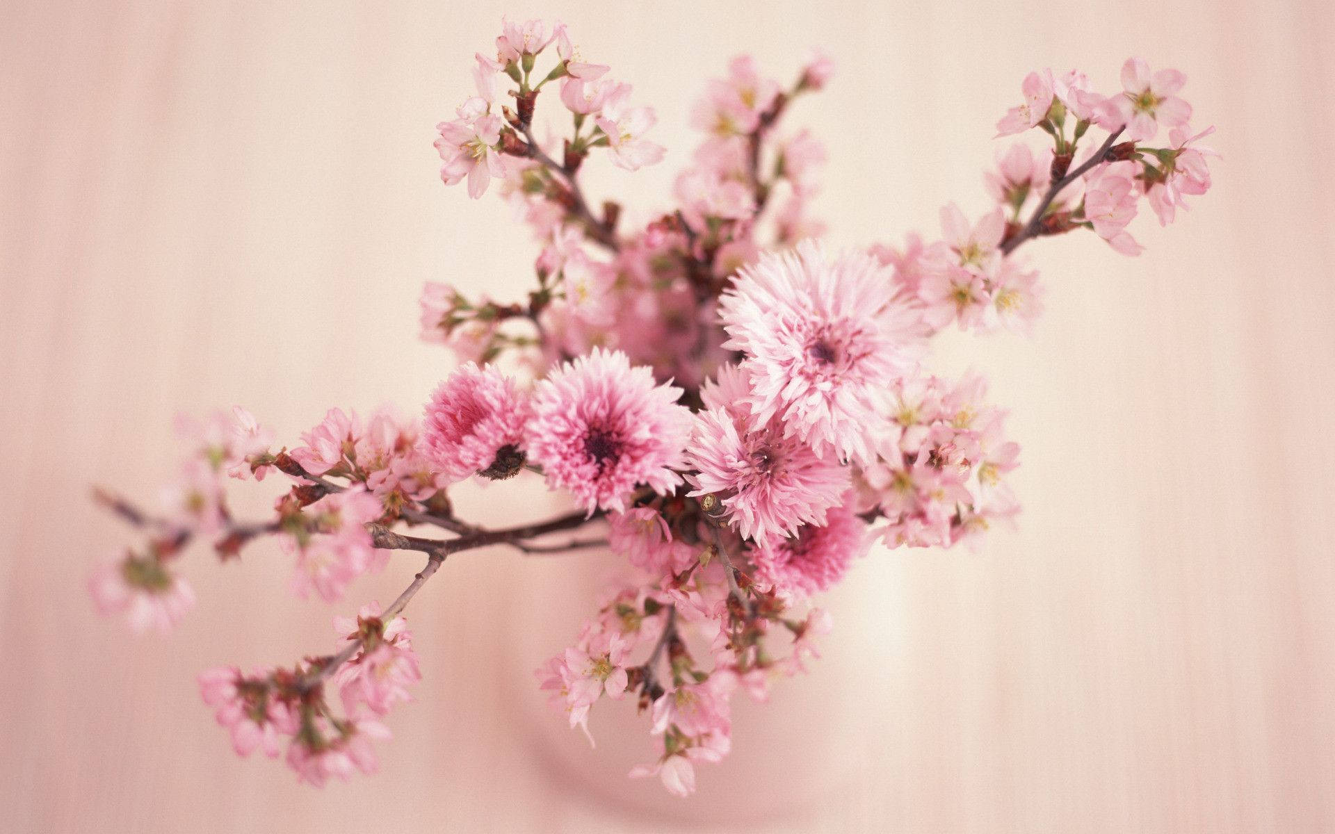 Bright Pink Floral Desktop Wallpaper