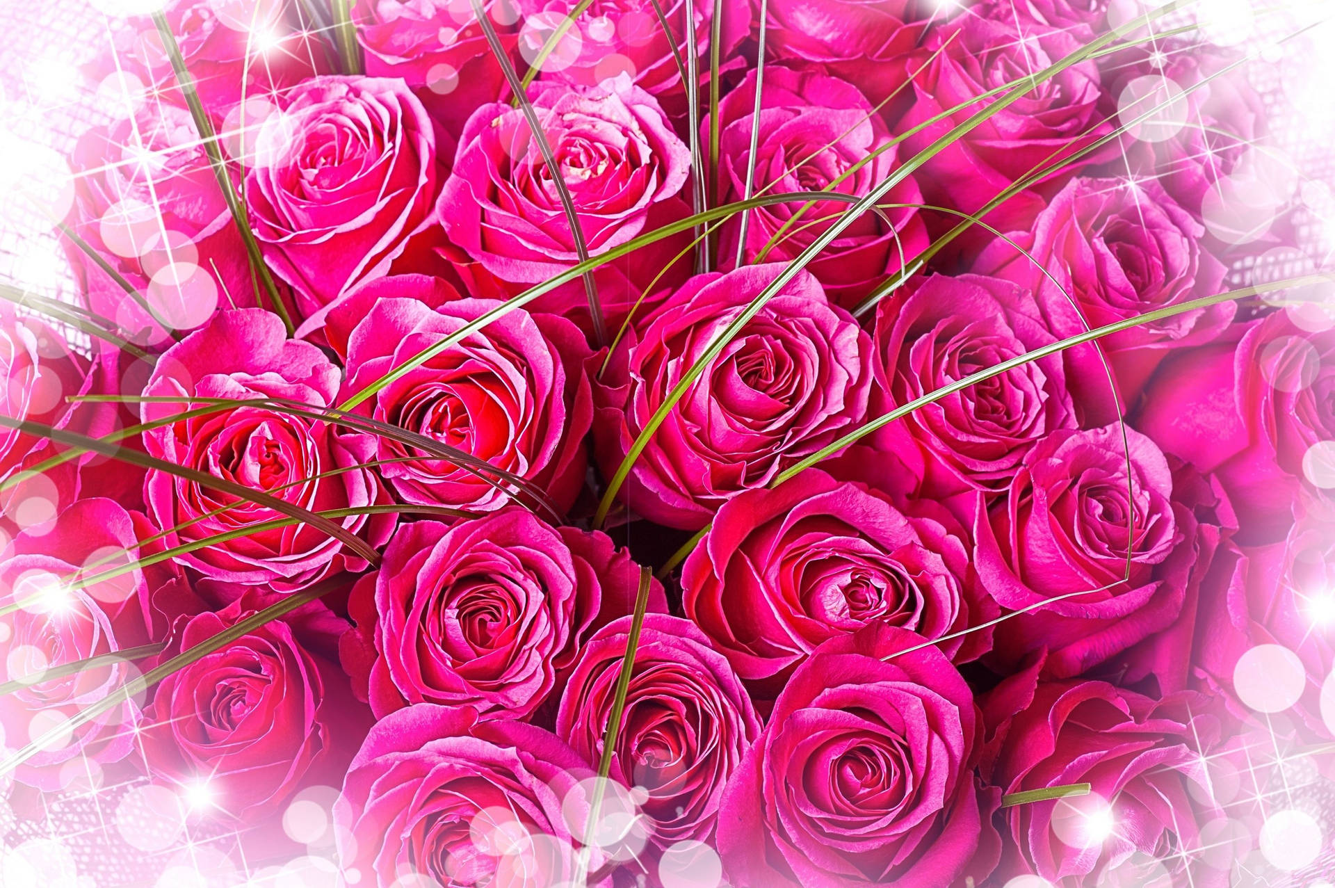 Bright Pink Roses Bouquet Wallpaper