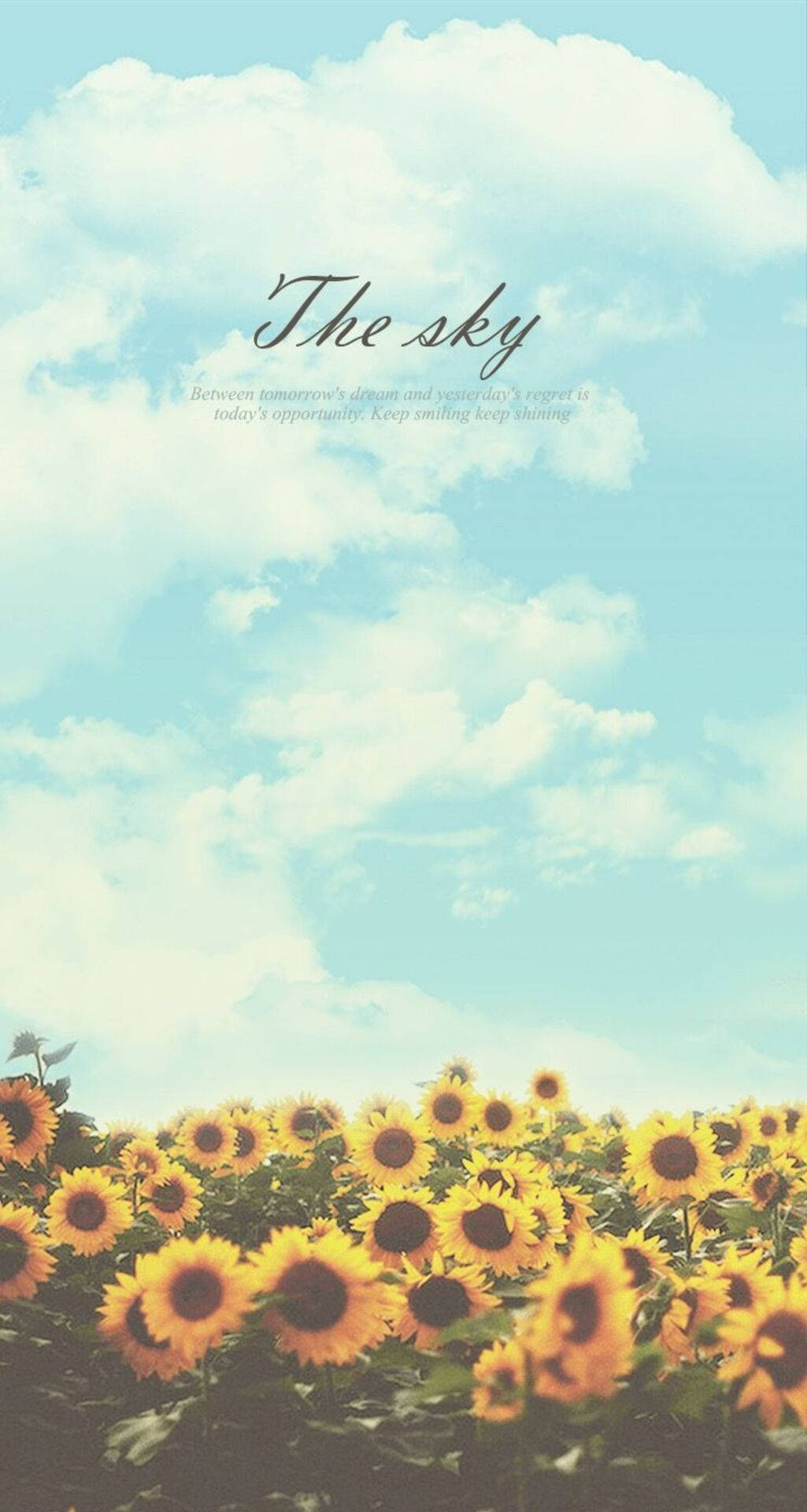 Bright Skies With Sunflowers Iphone Wallpaper