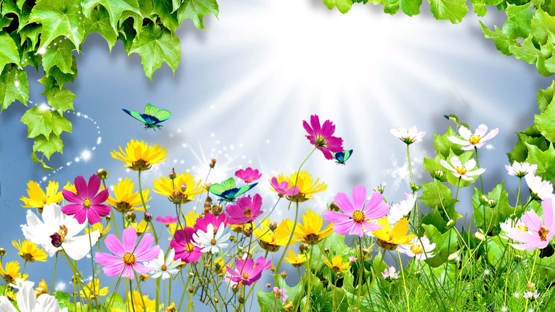 Bright Spring Flowers Sunshine Butterflies Wallpaper