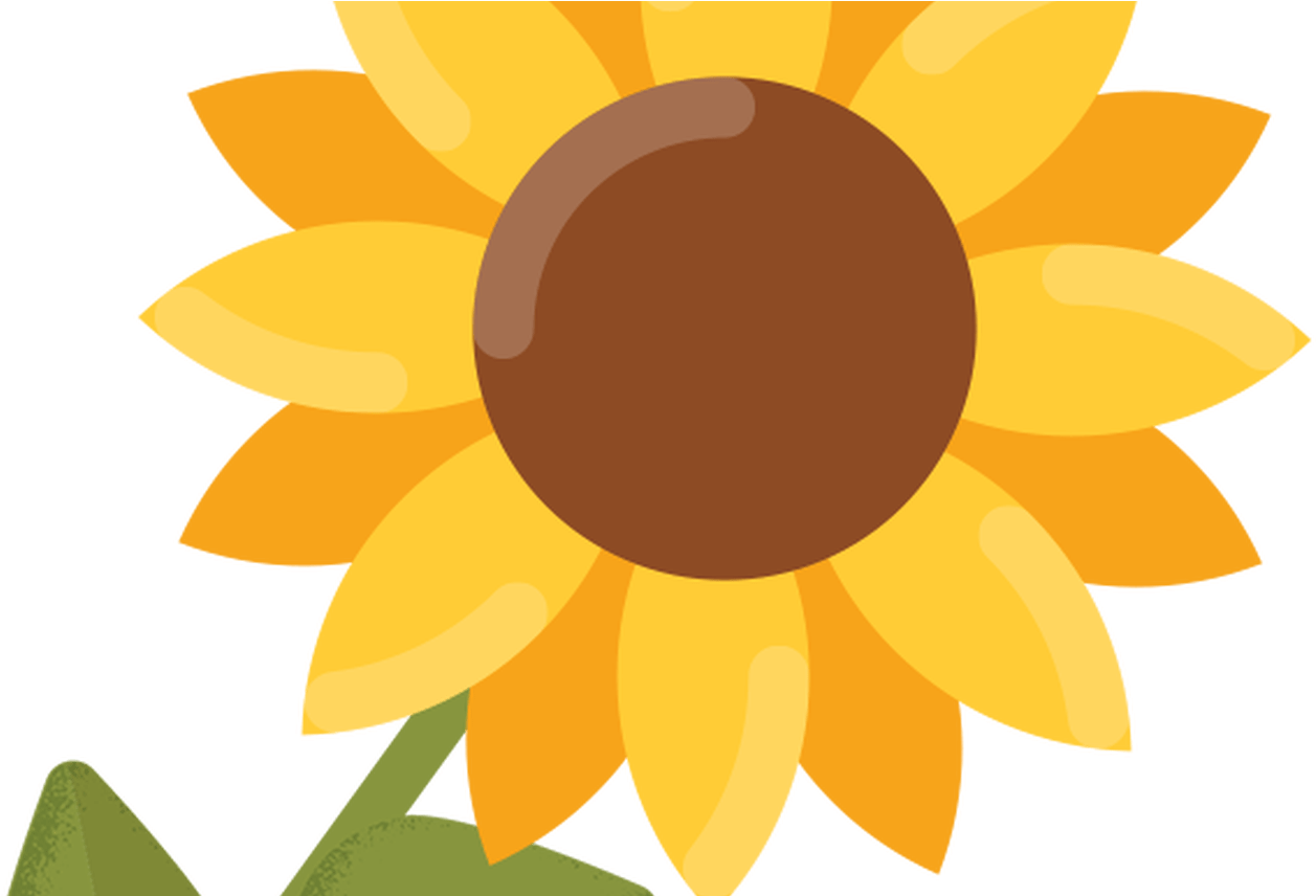 Bright Sunflower Clipart PNG